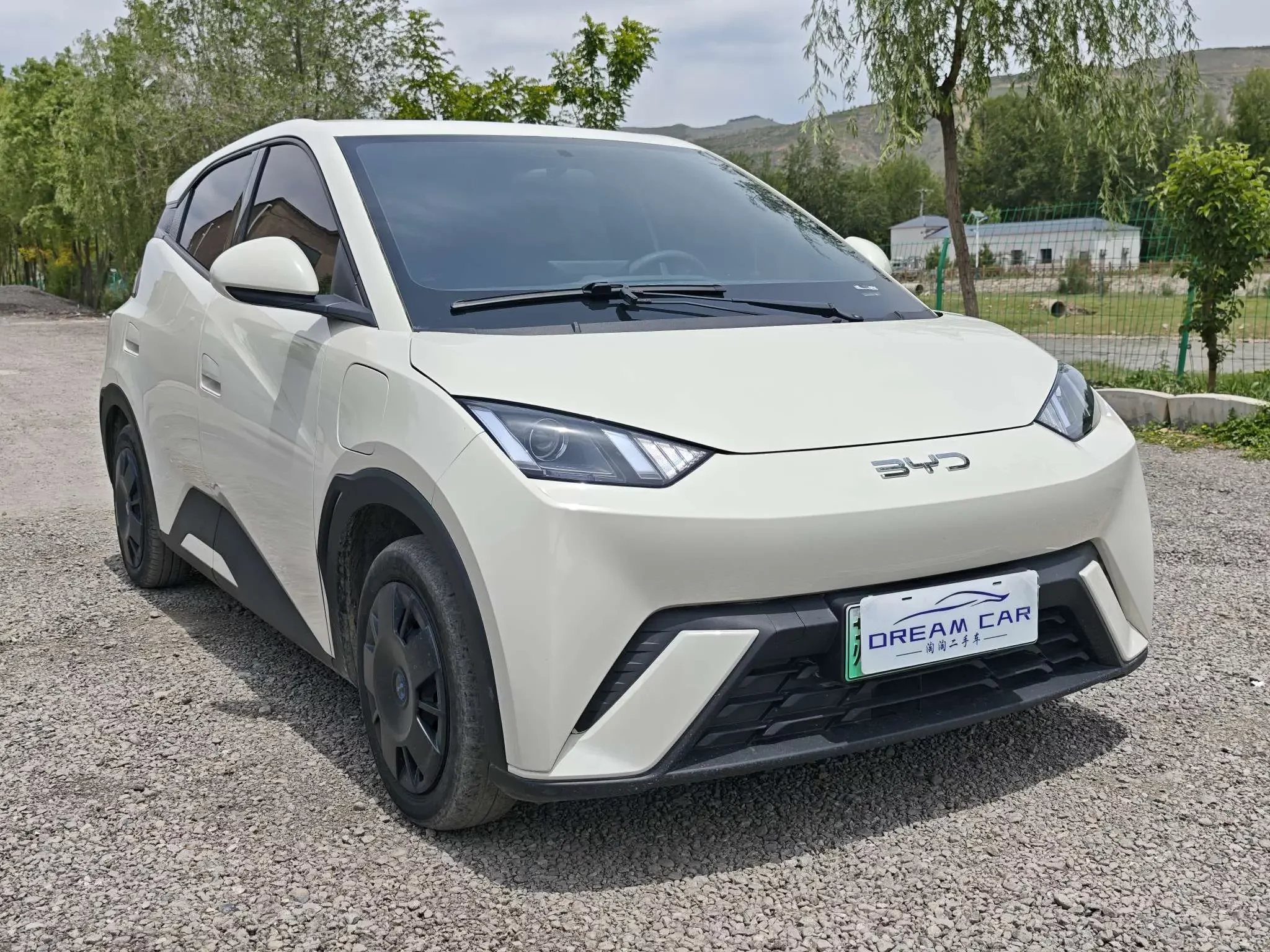 BYD seagull