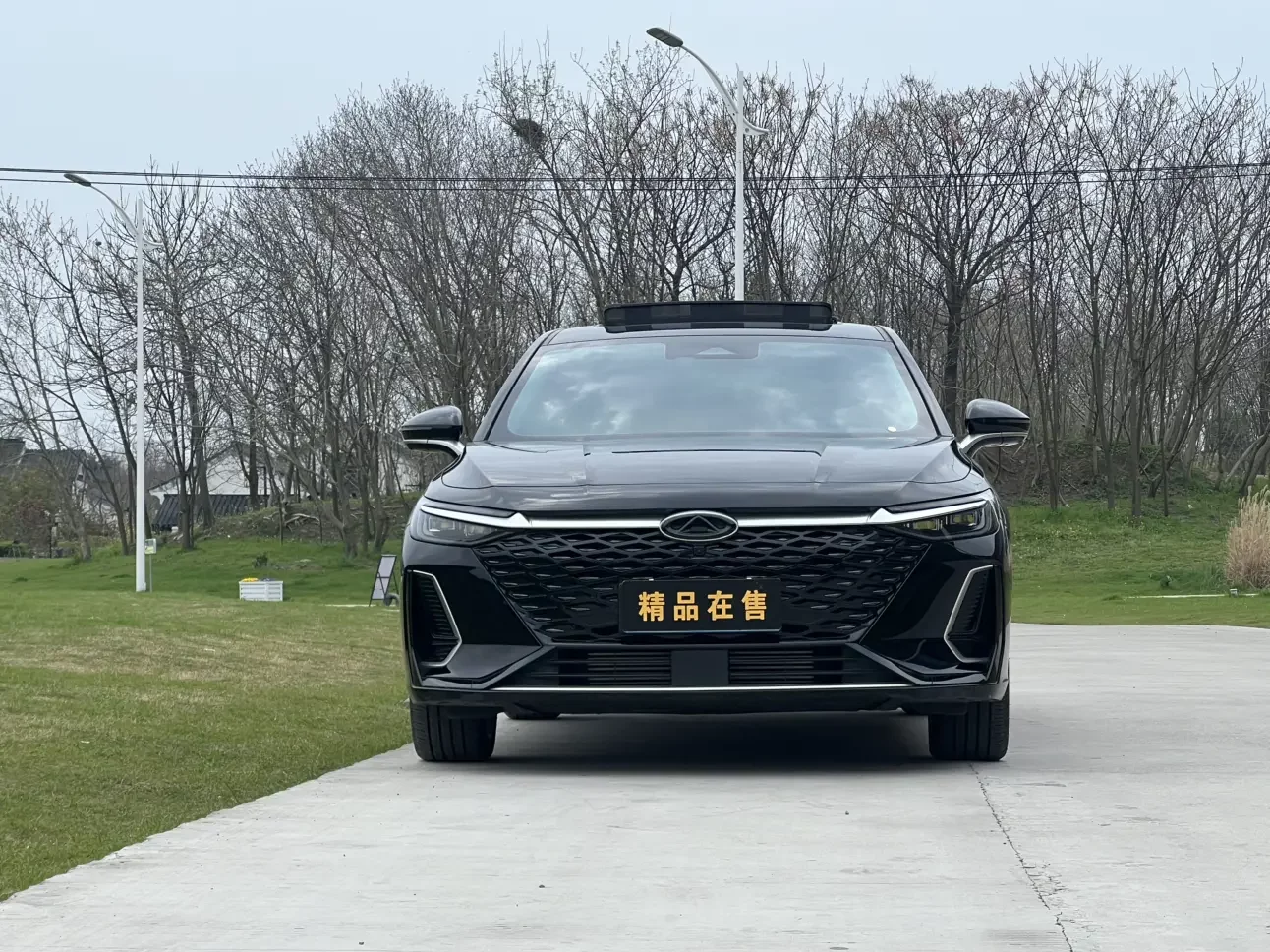 Chery Arrizo 8