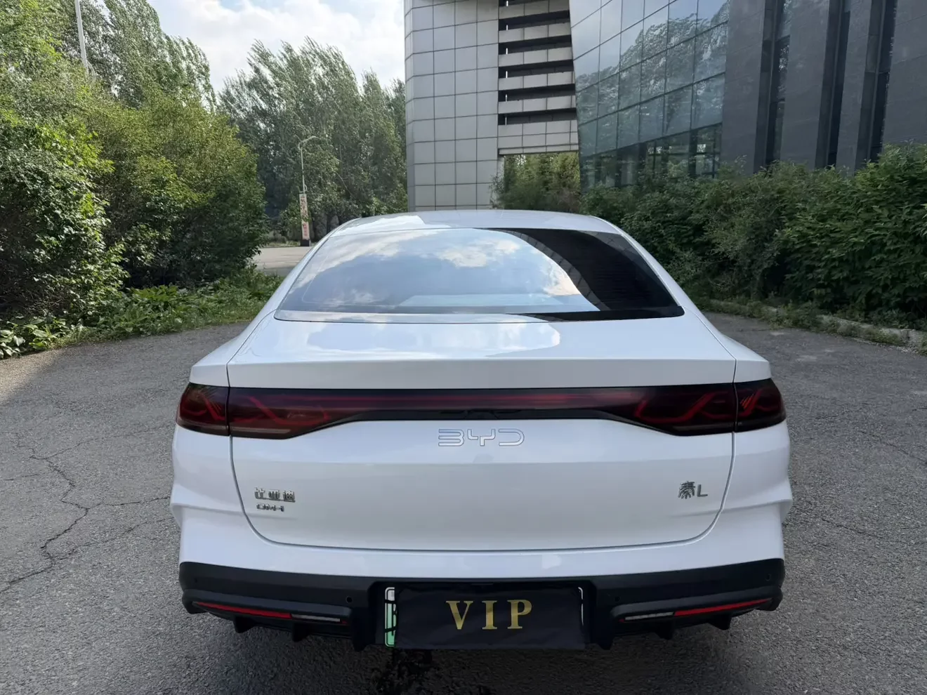 BYD Qin L DM