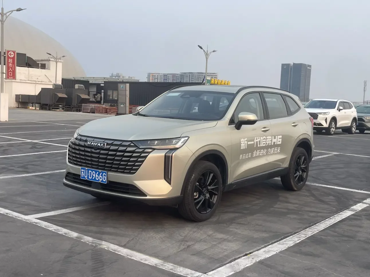 Haval H6