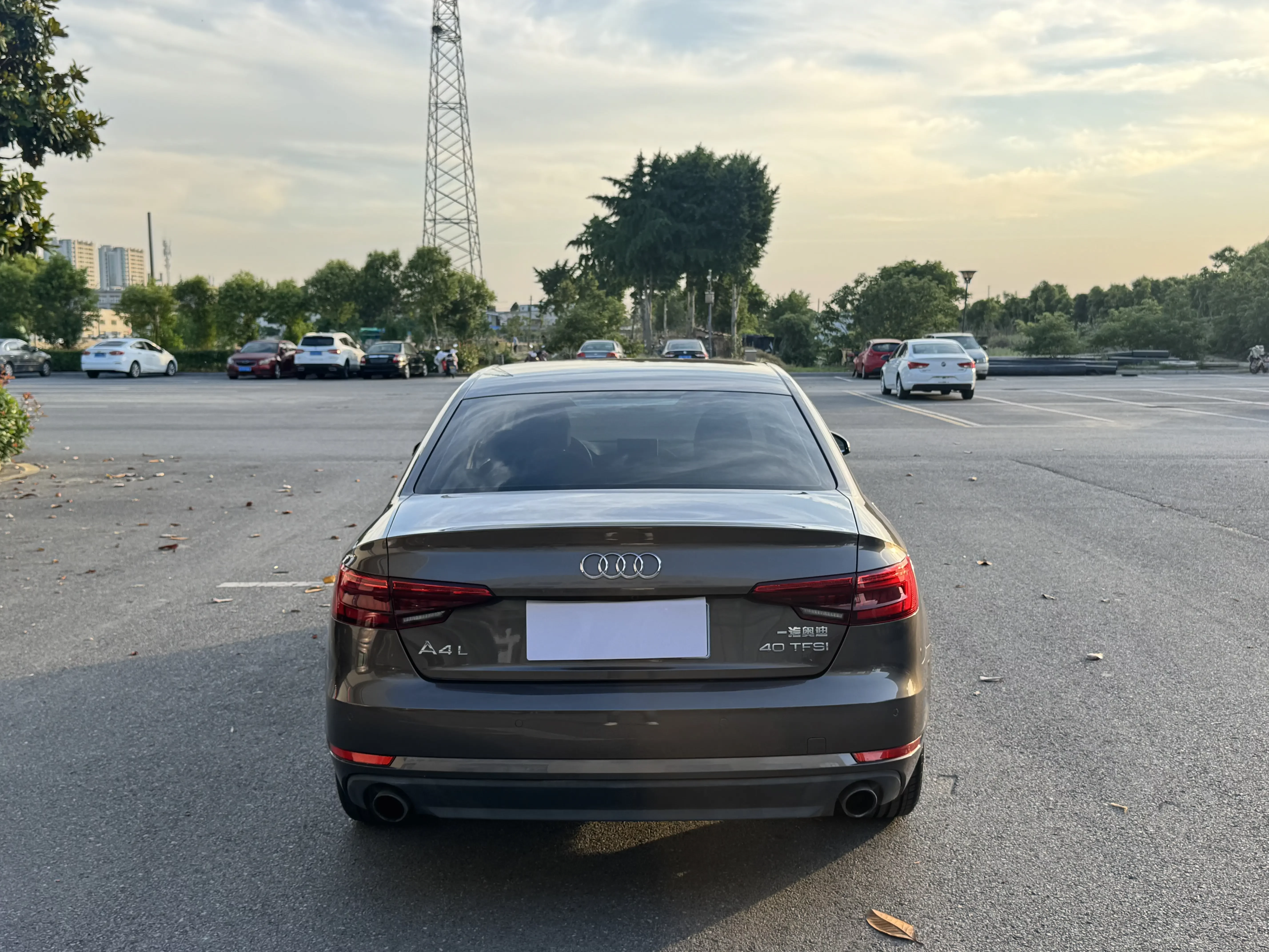 Audi A4L