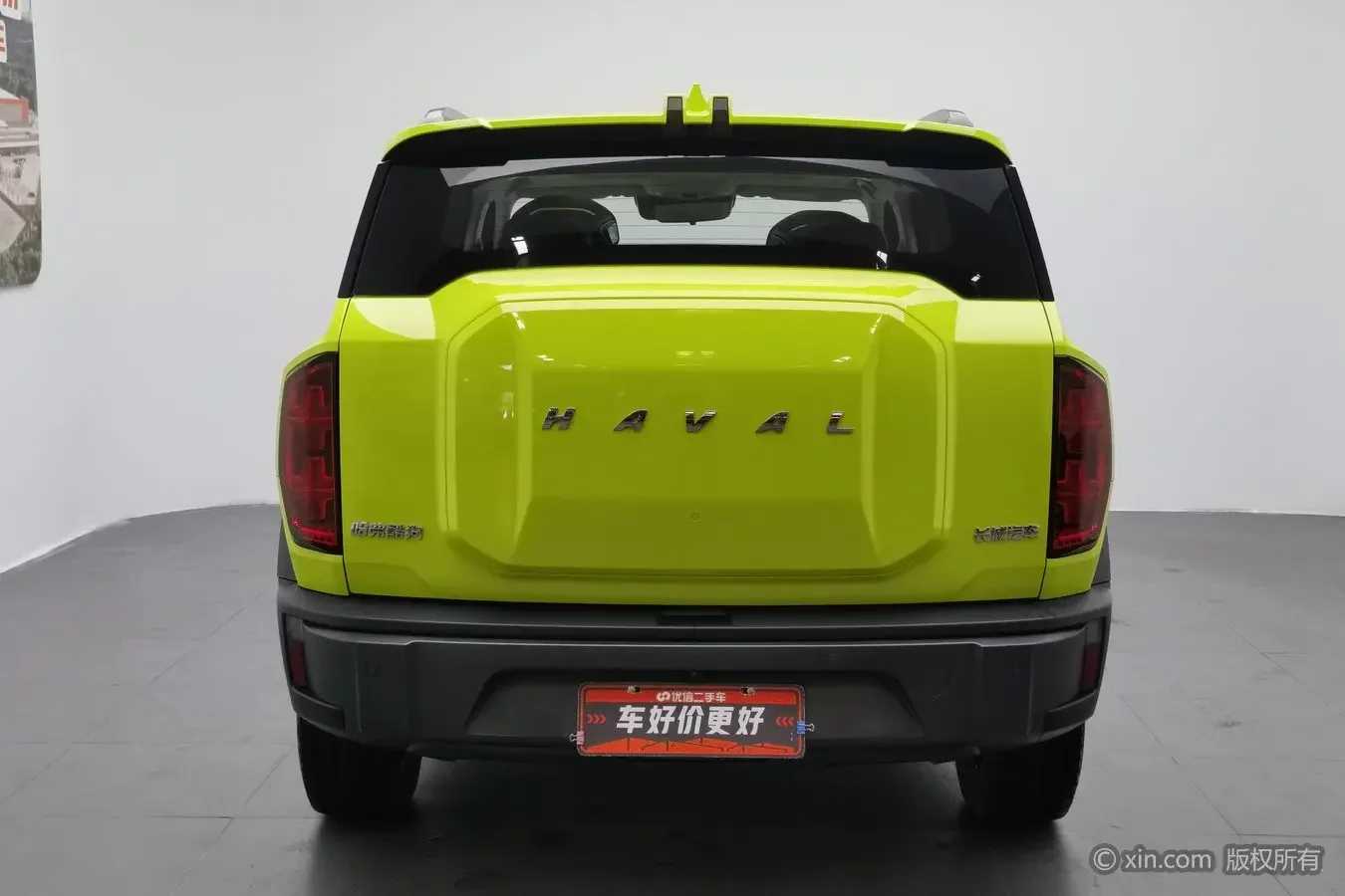 Haval cool dog