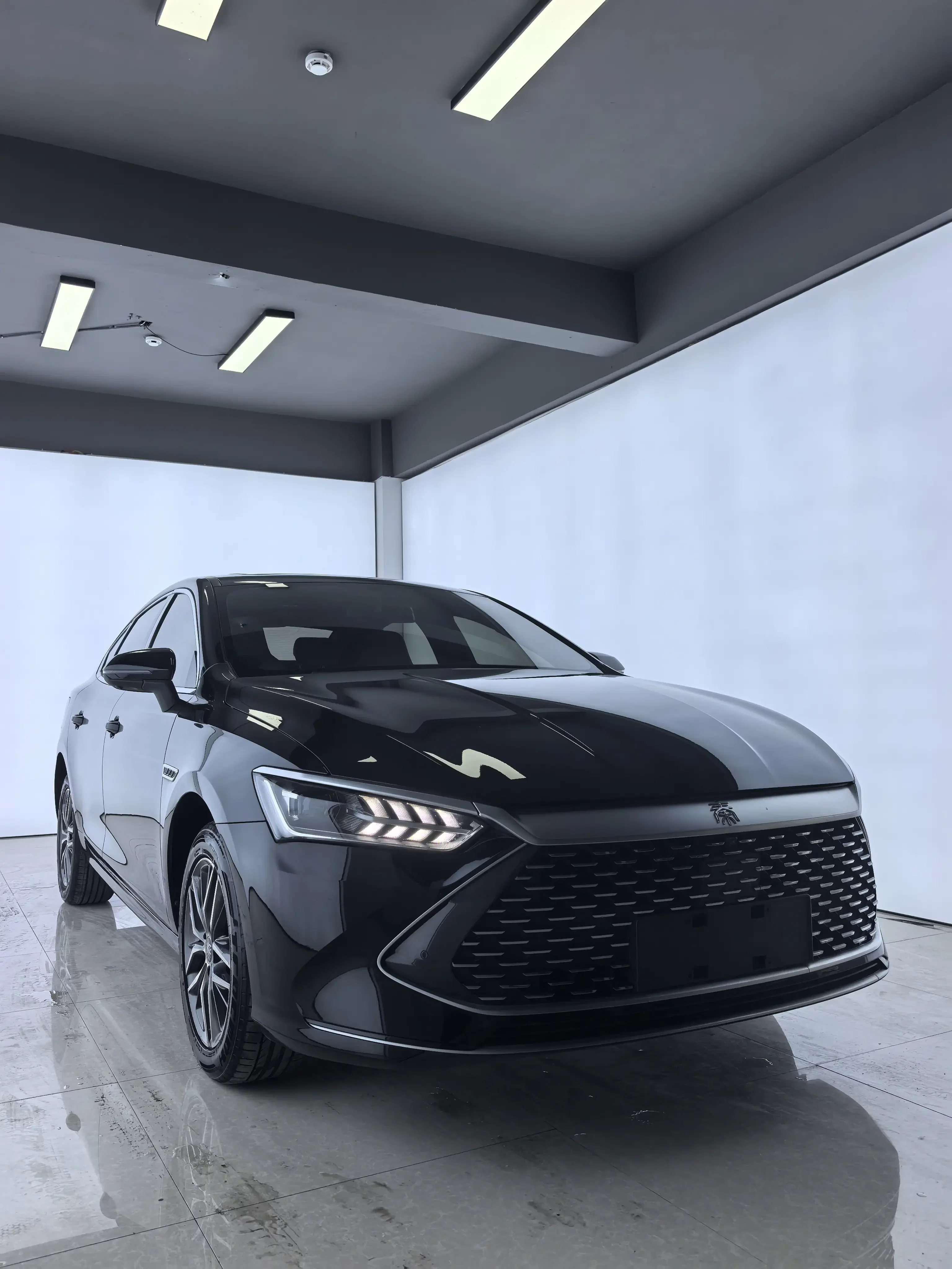 BYD Qin PLUS DM