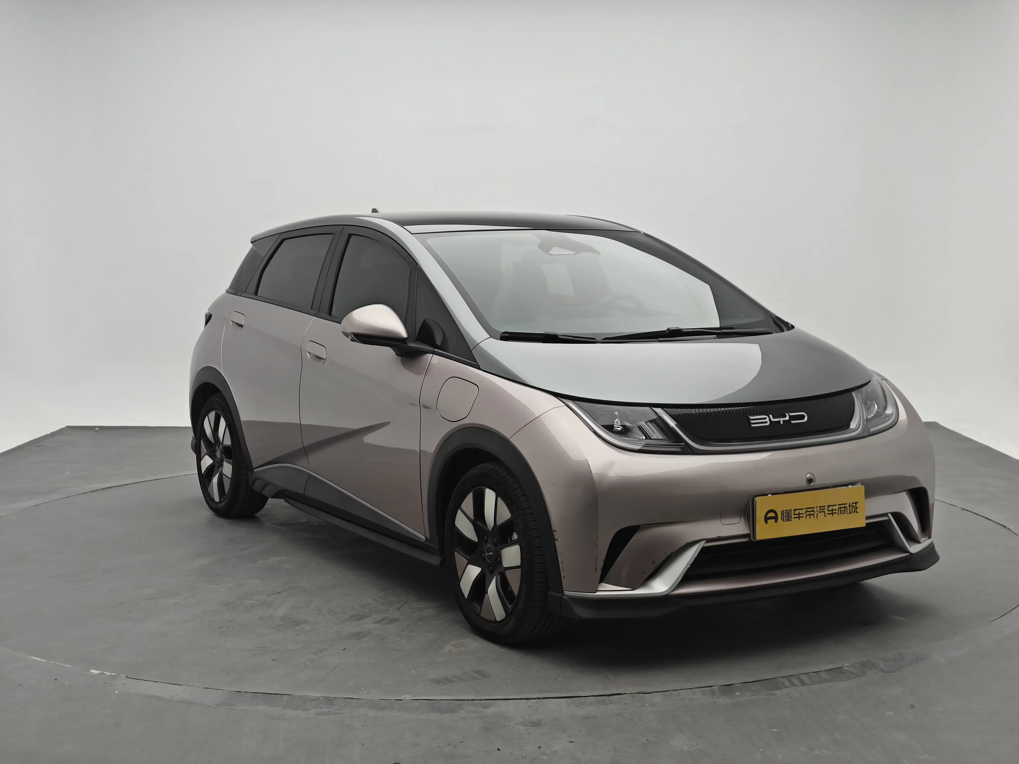 BYD dolphin