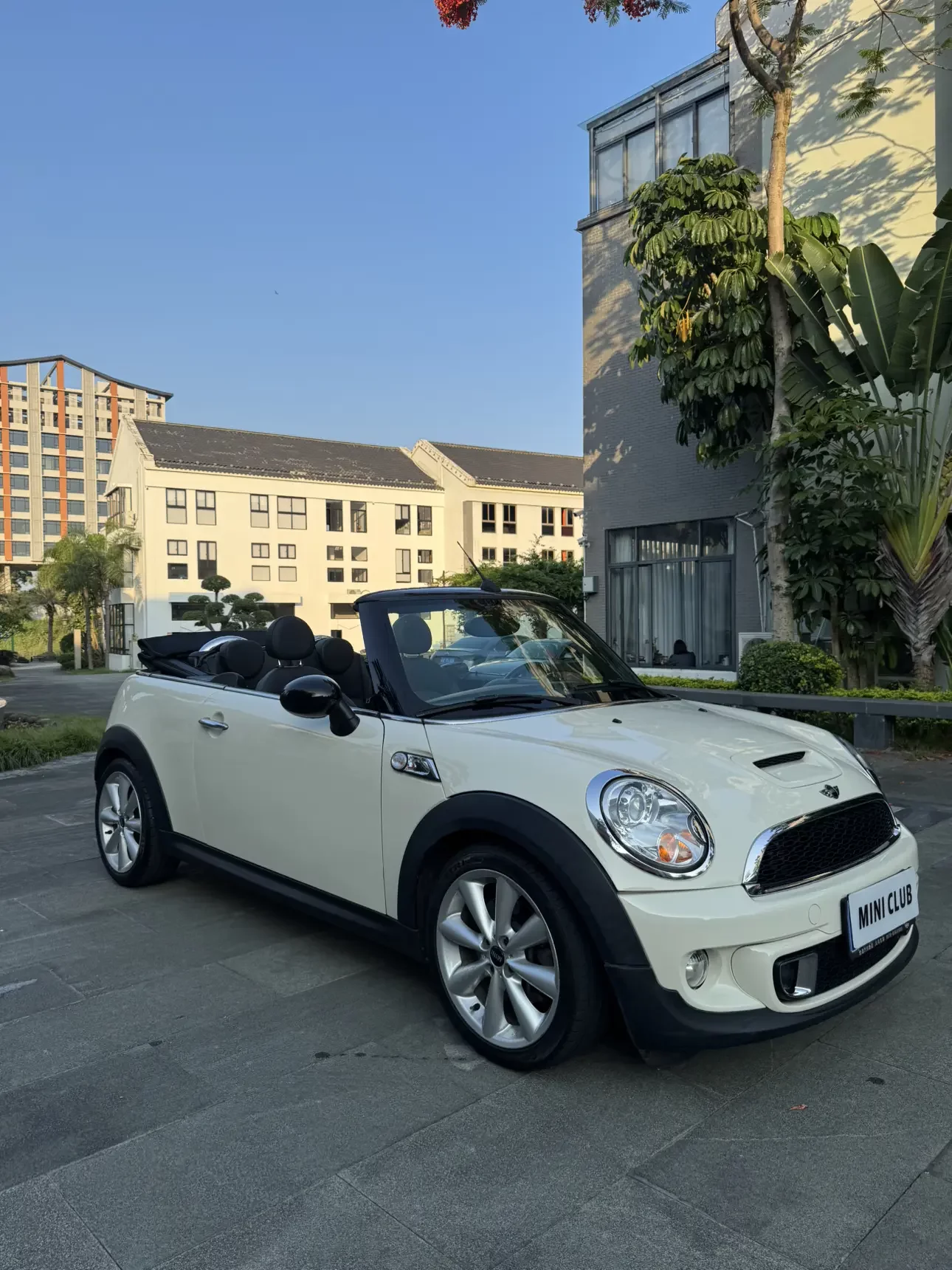 MINI 