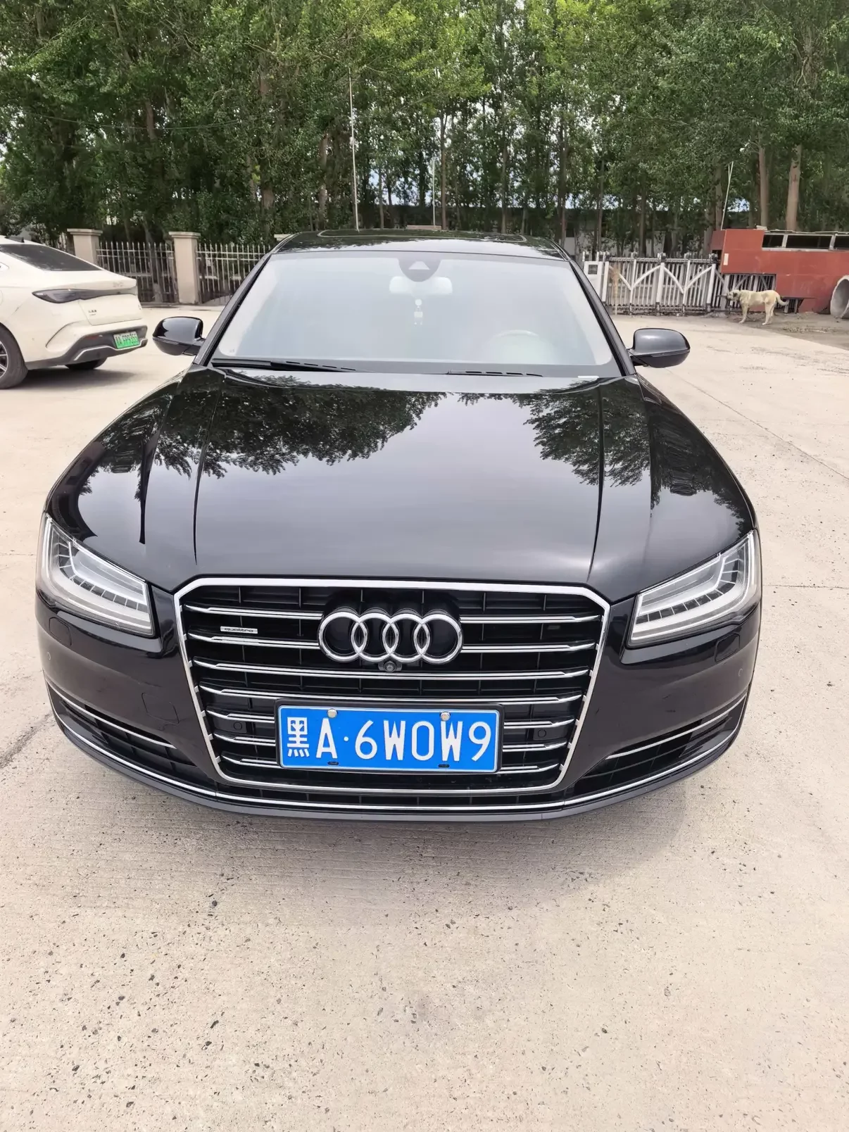 Audi A8