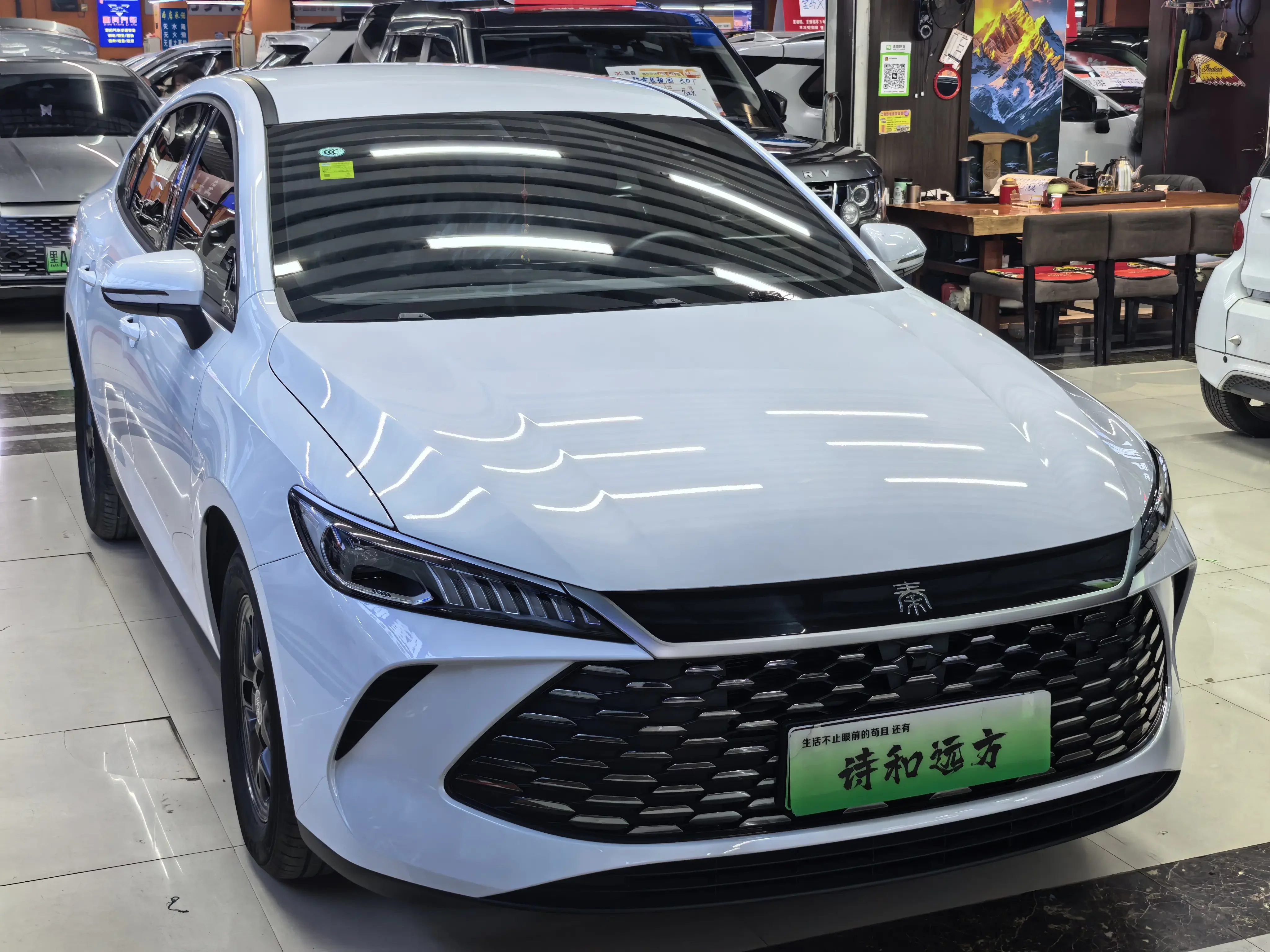 BYD Qin PLUS DM