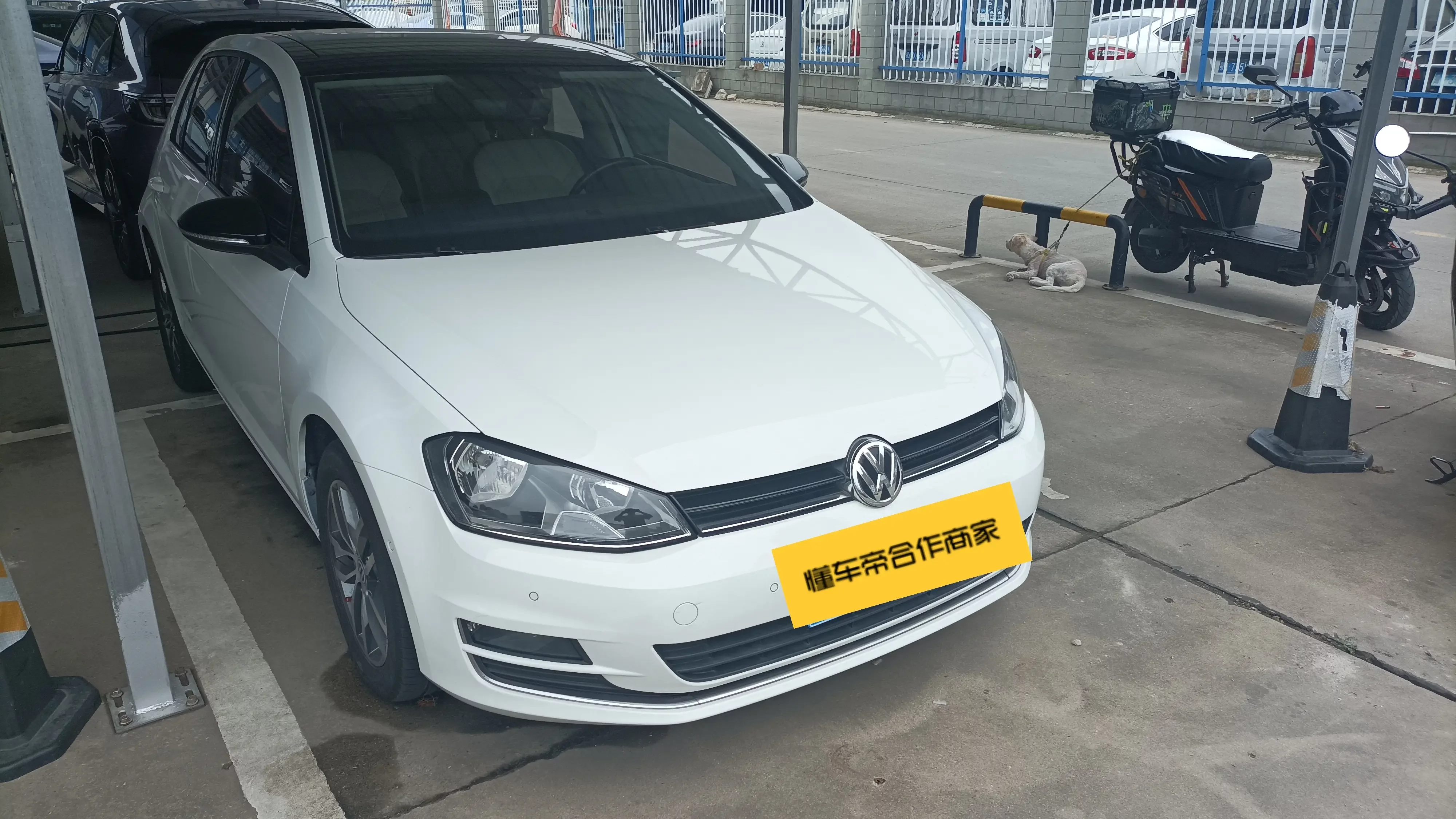 Volkswagen golf