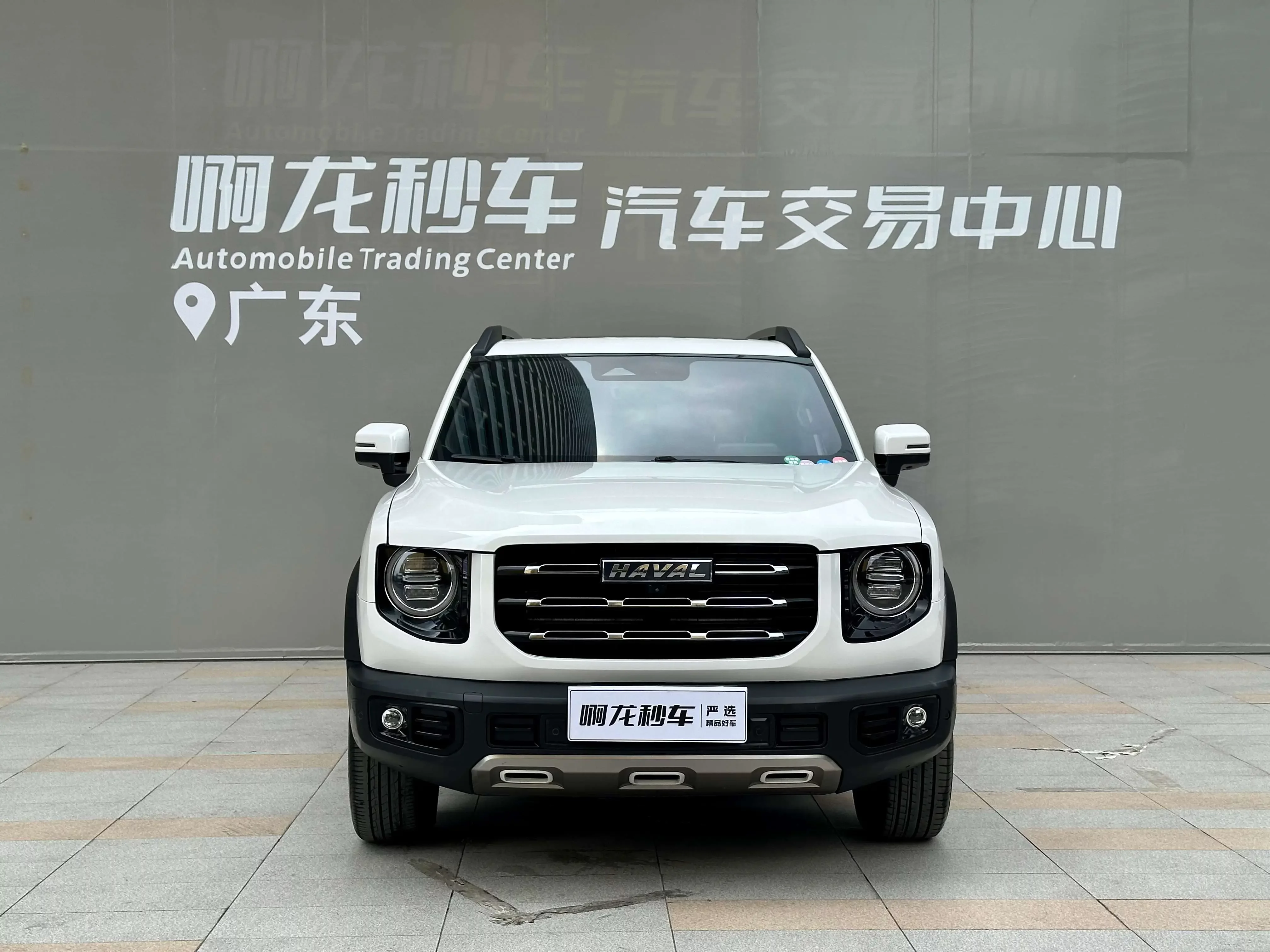 Haval Dargo