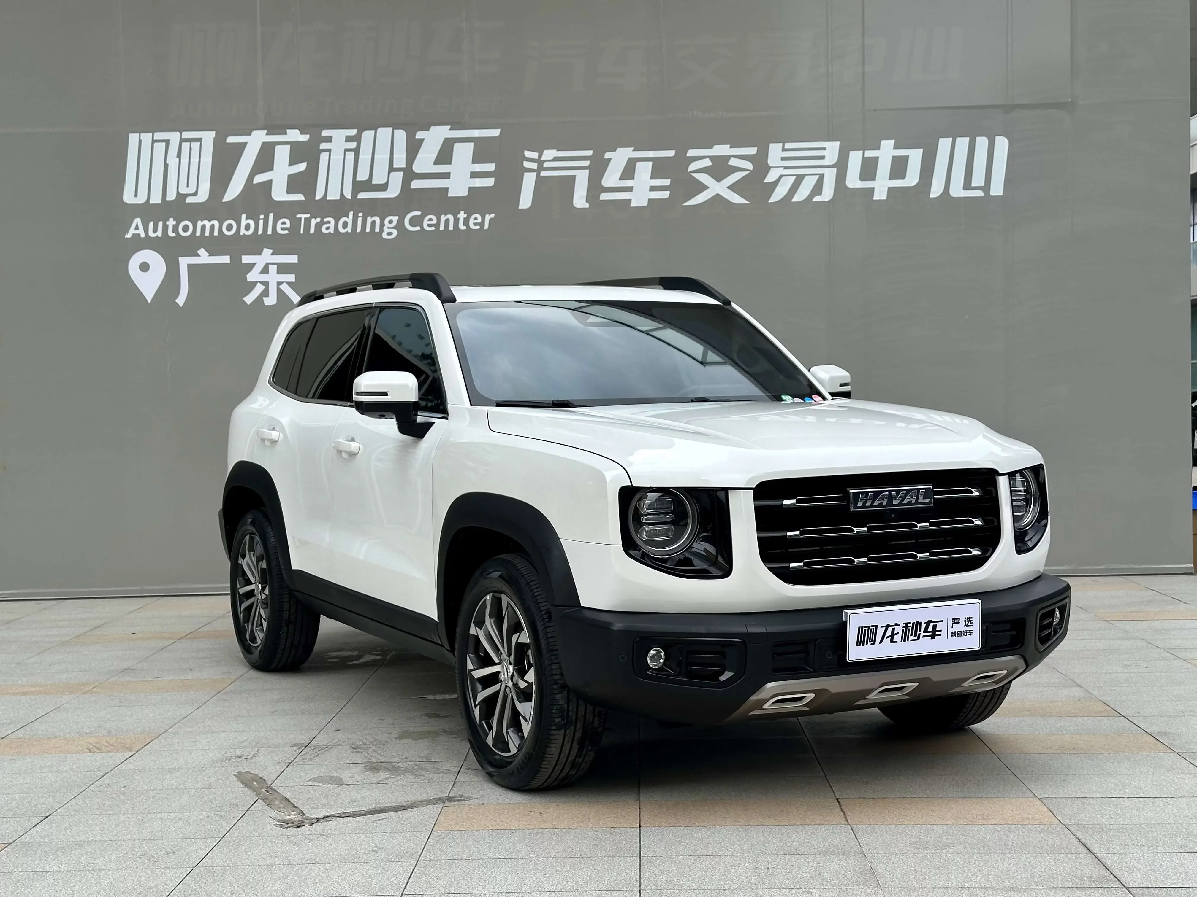 Haval Dargo