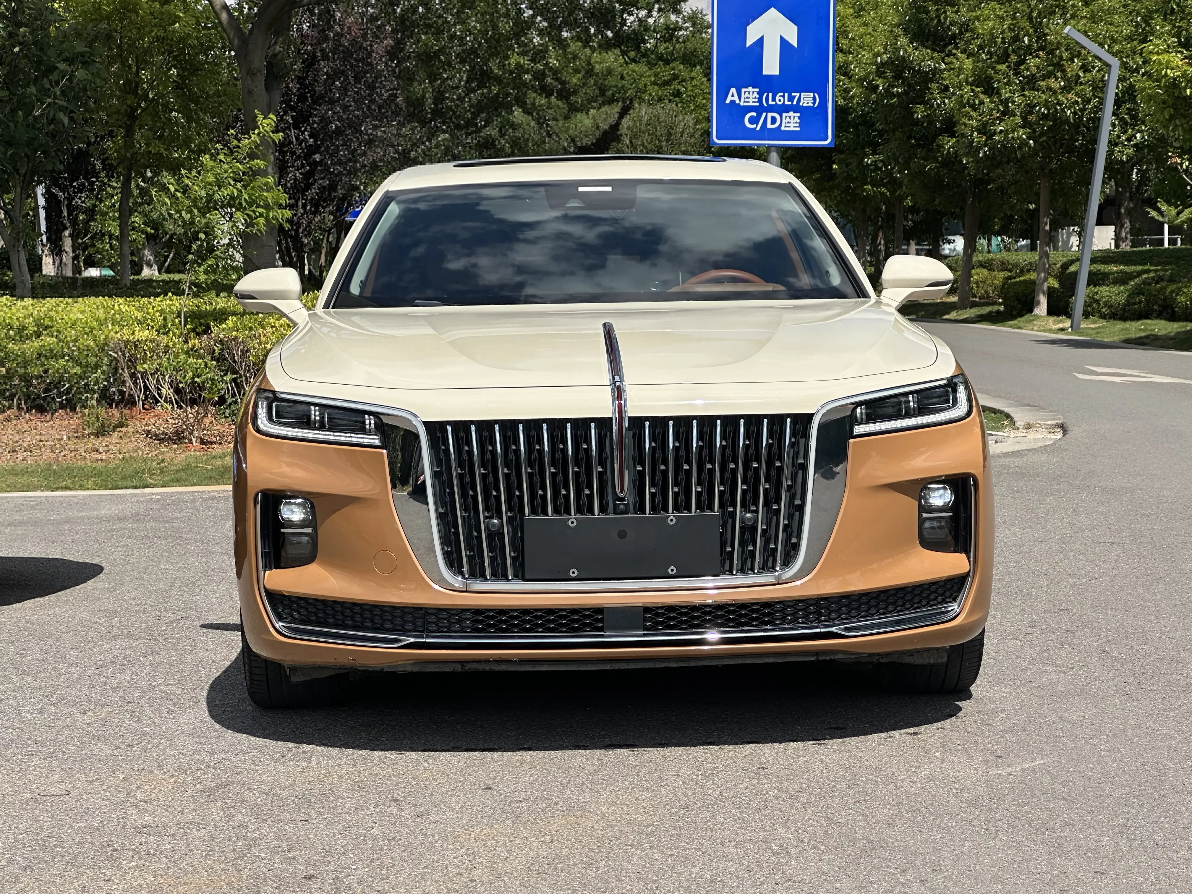 Hongqi H9
