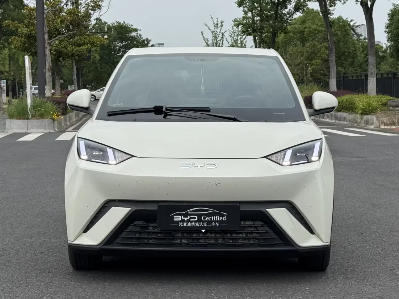 BYD seagull