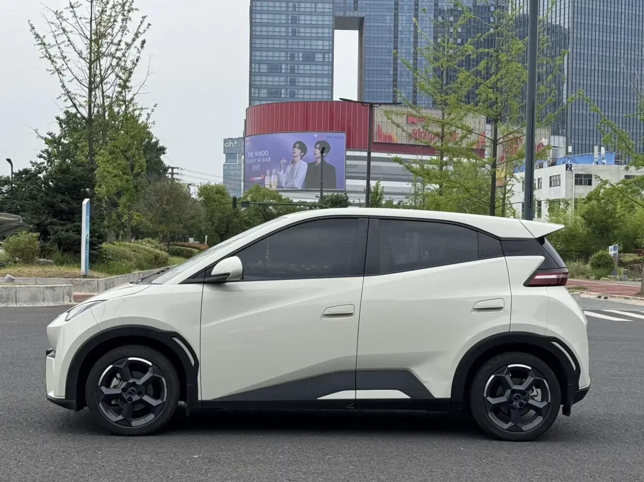 BYD seagull