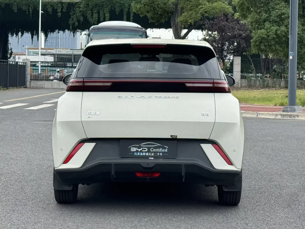 BYD seagull