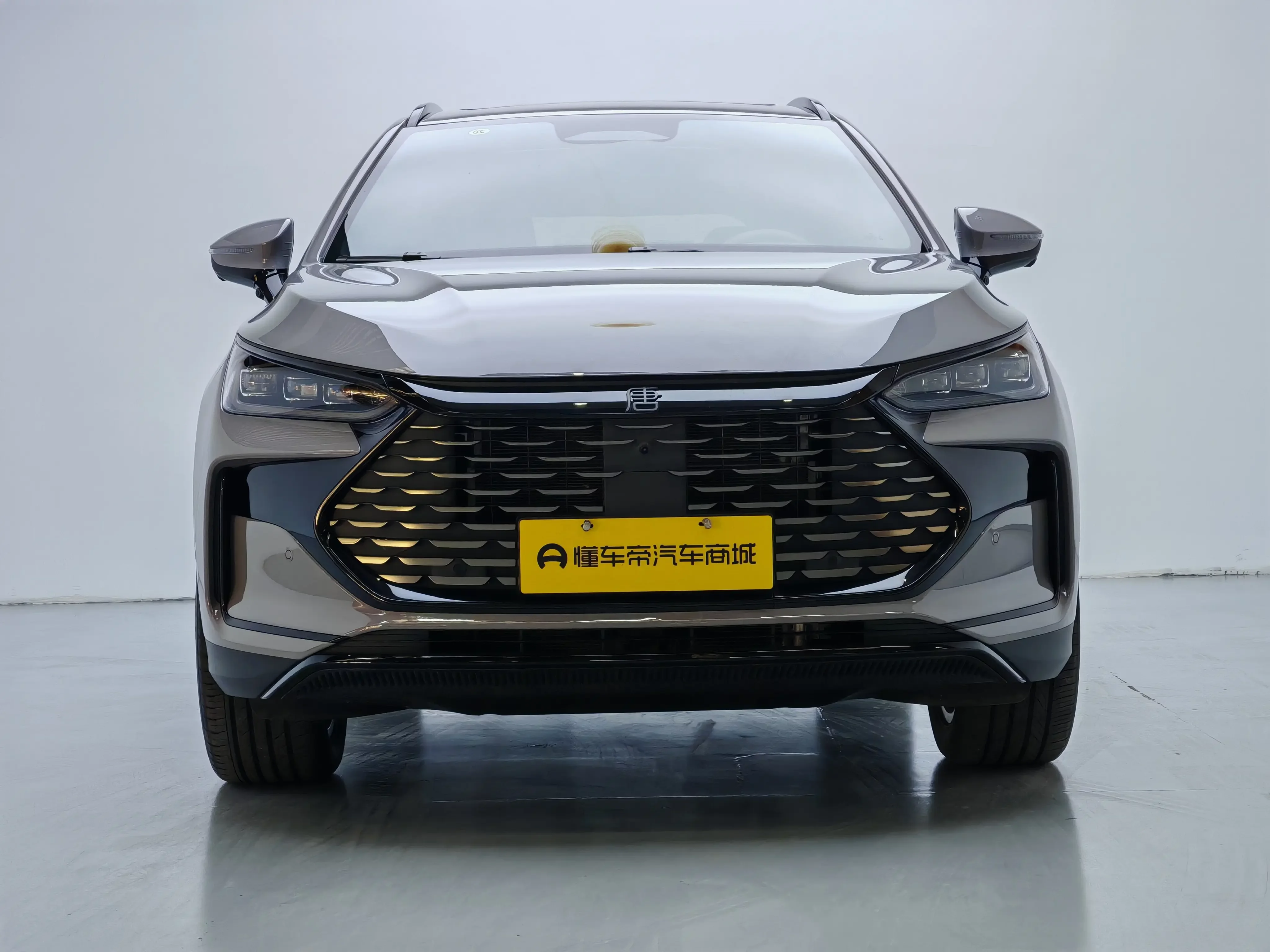BYD Tang DM