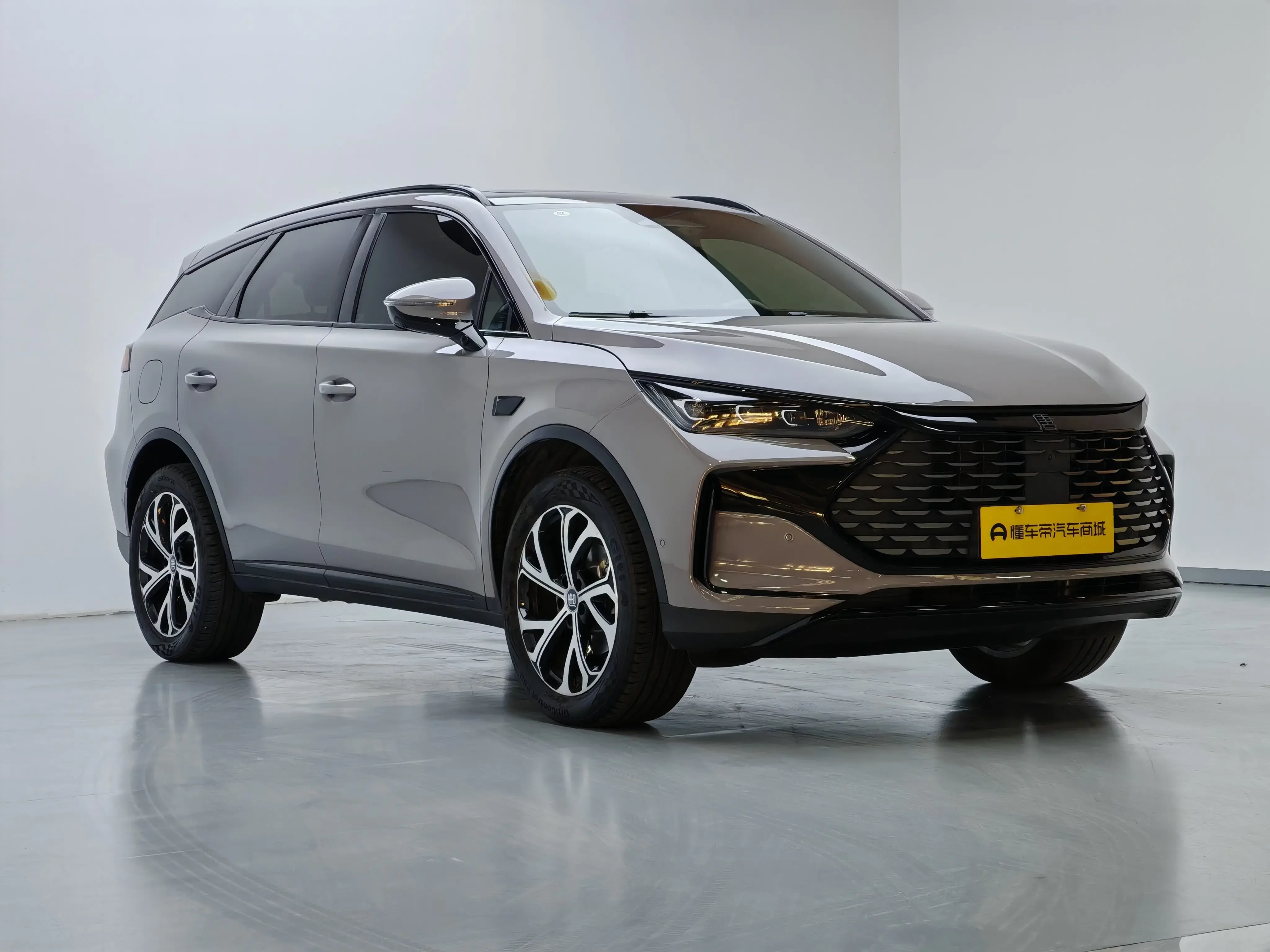 BYD Tang DM