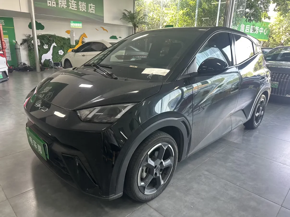 BYD seagull