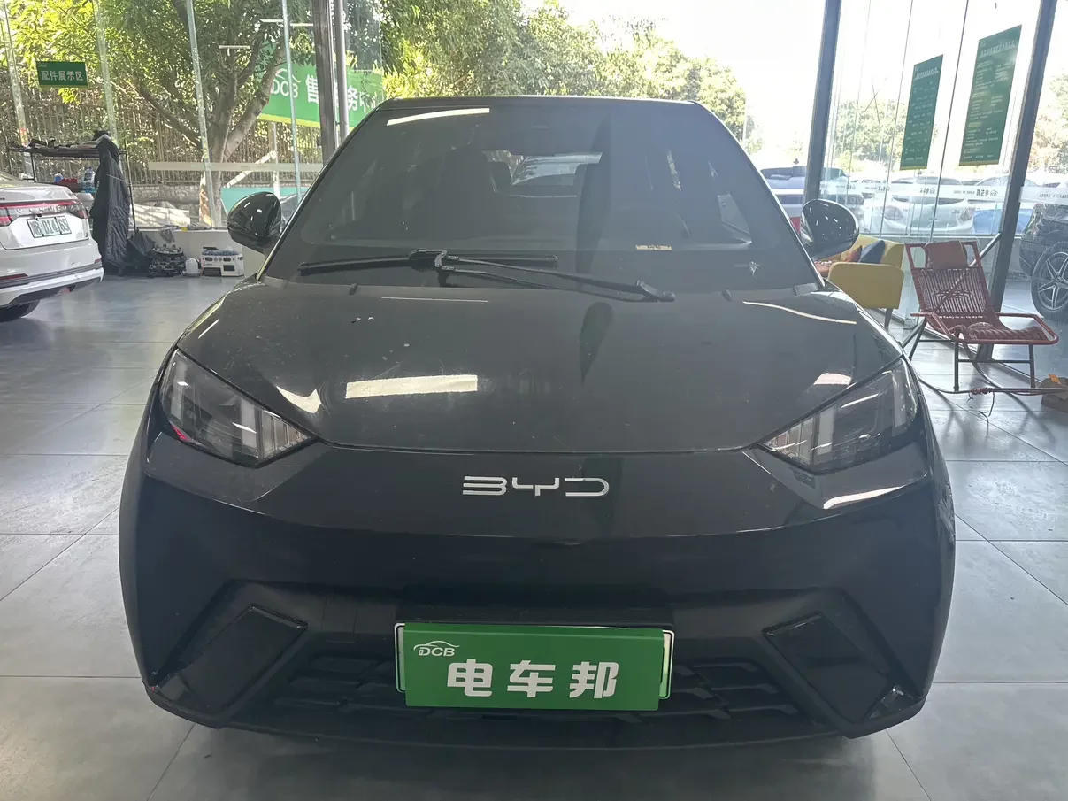BYD seagull