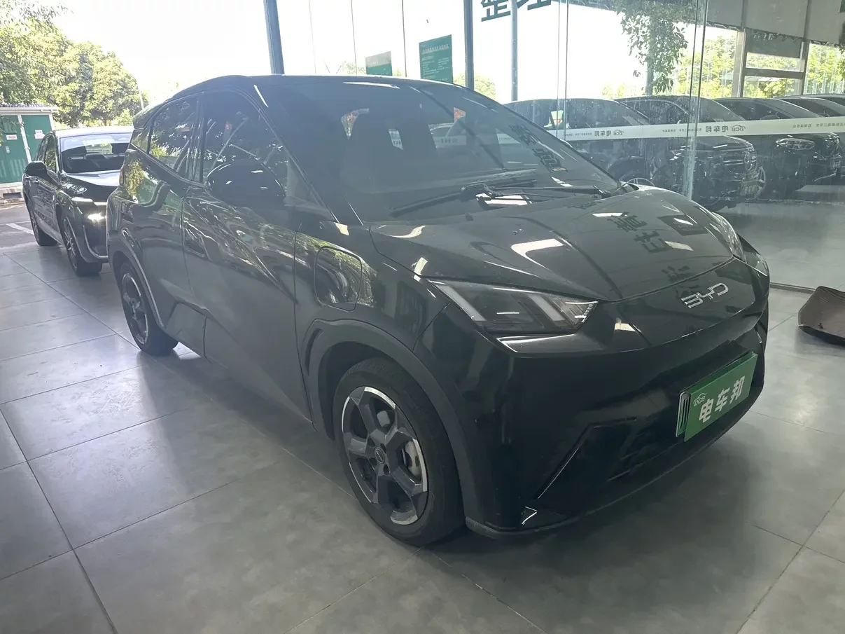 BYD seagull