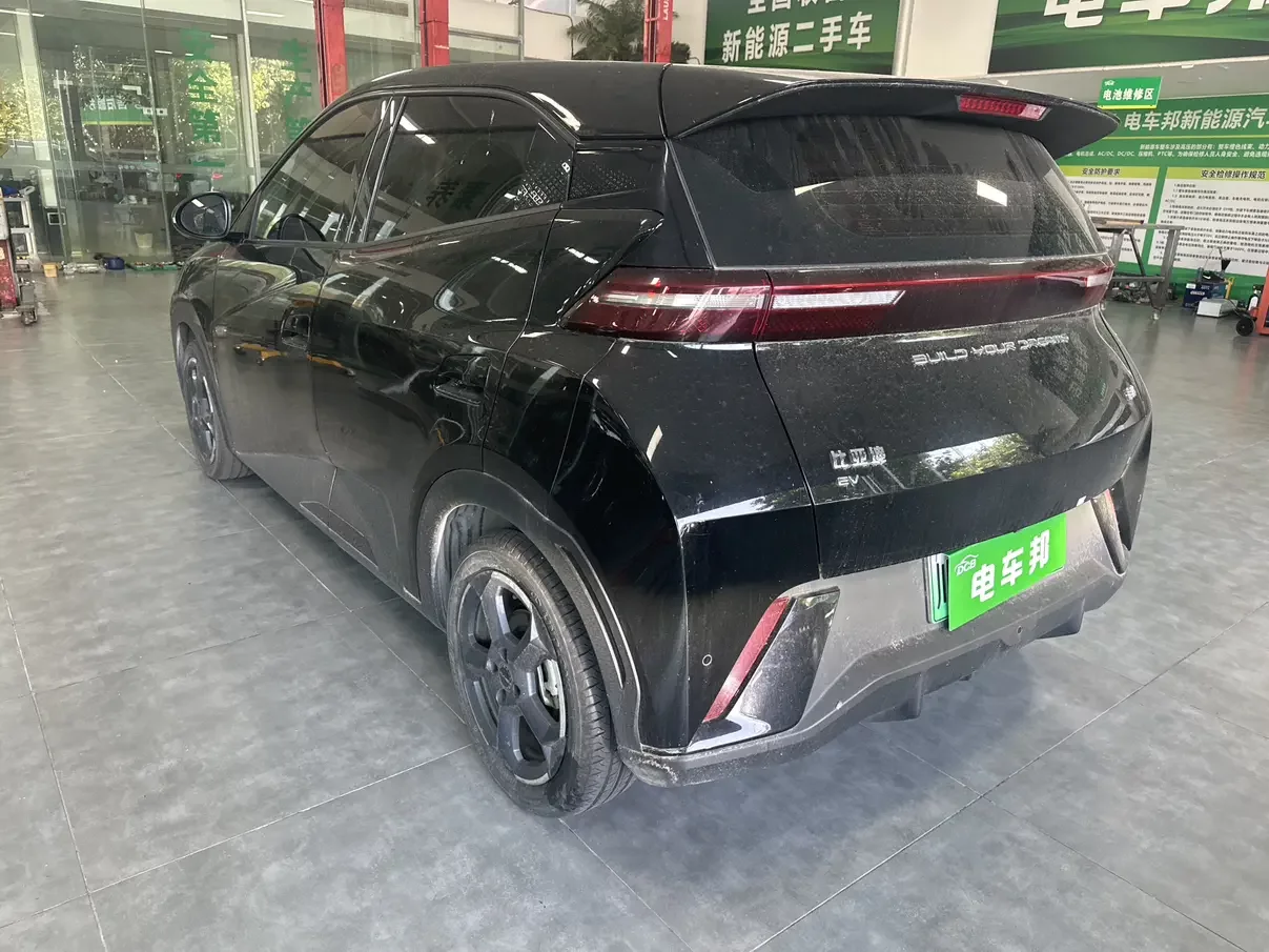 BYD seagull