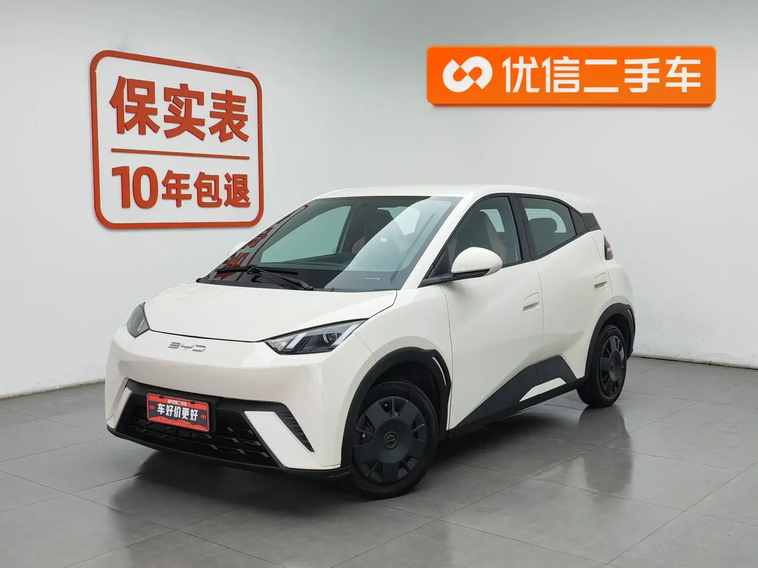 BYD seagull