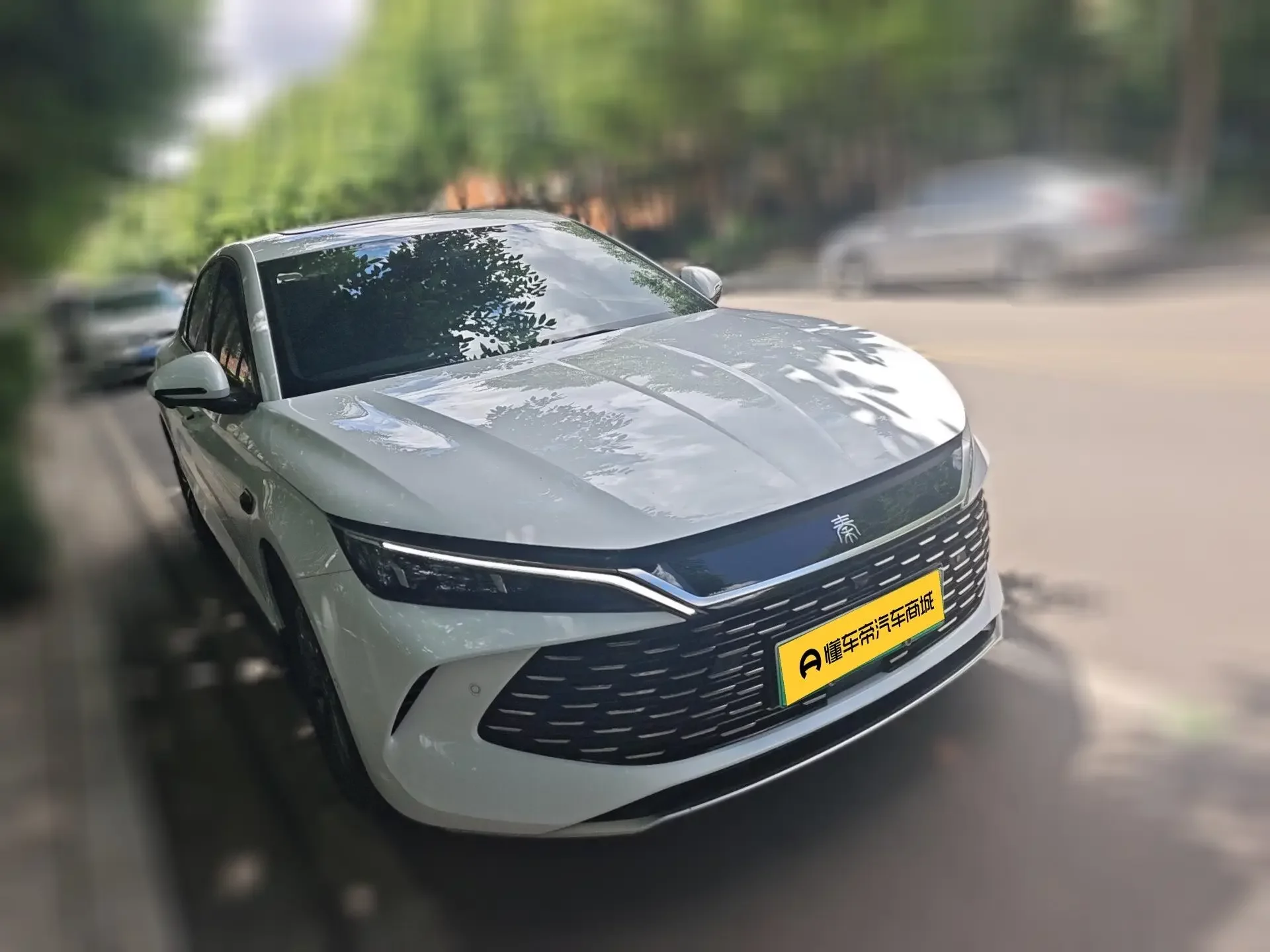 BYD Qin L DM