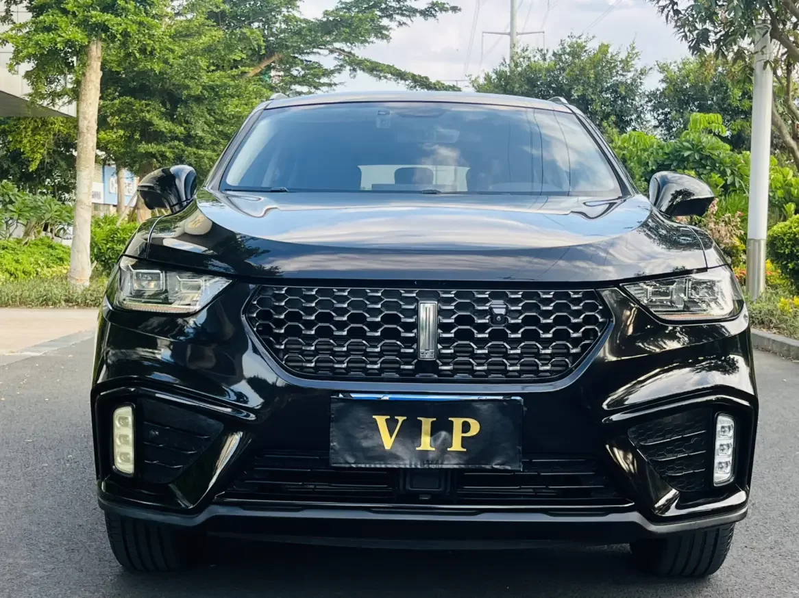Wey Wei brand VV5