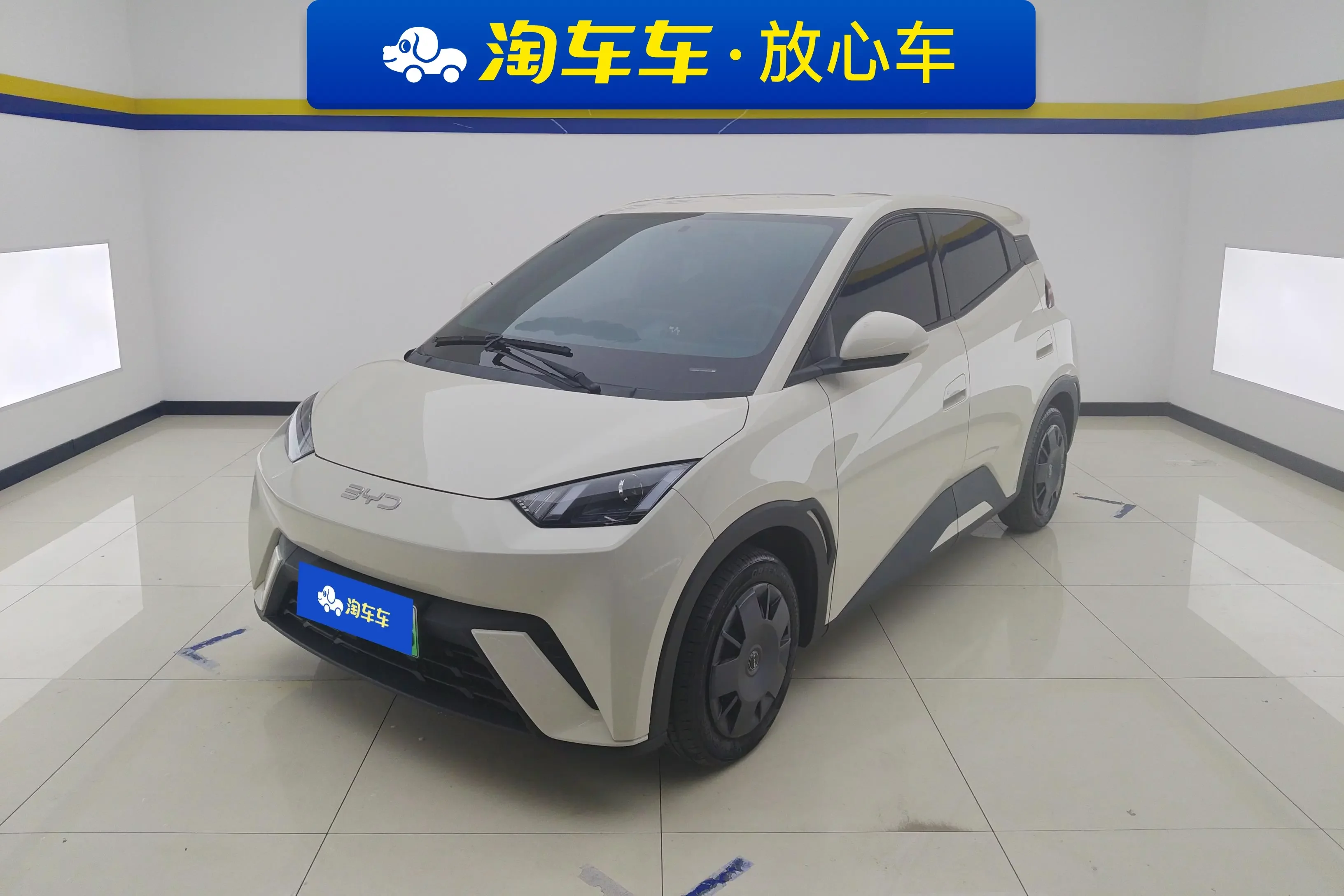 BYD seagull