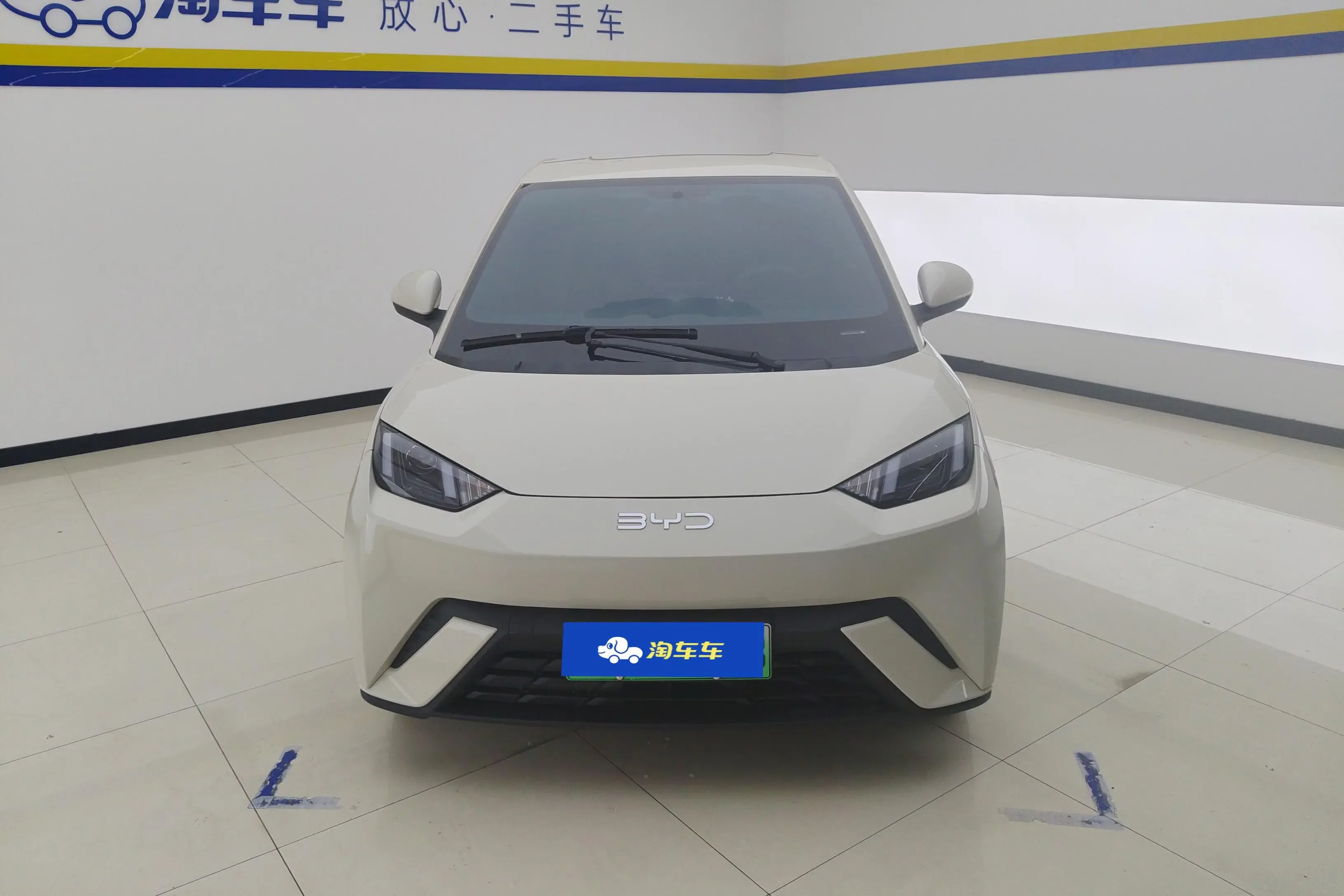 BYD seagull