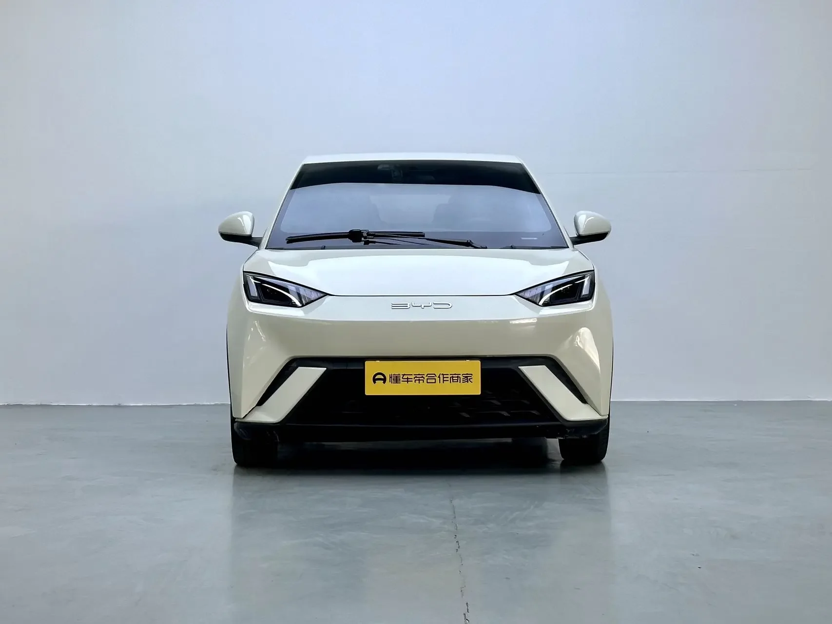 BYD seagull