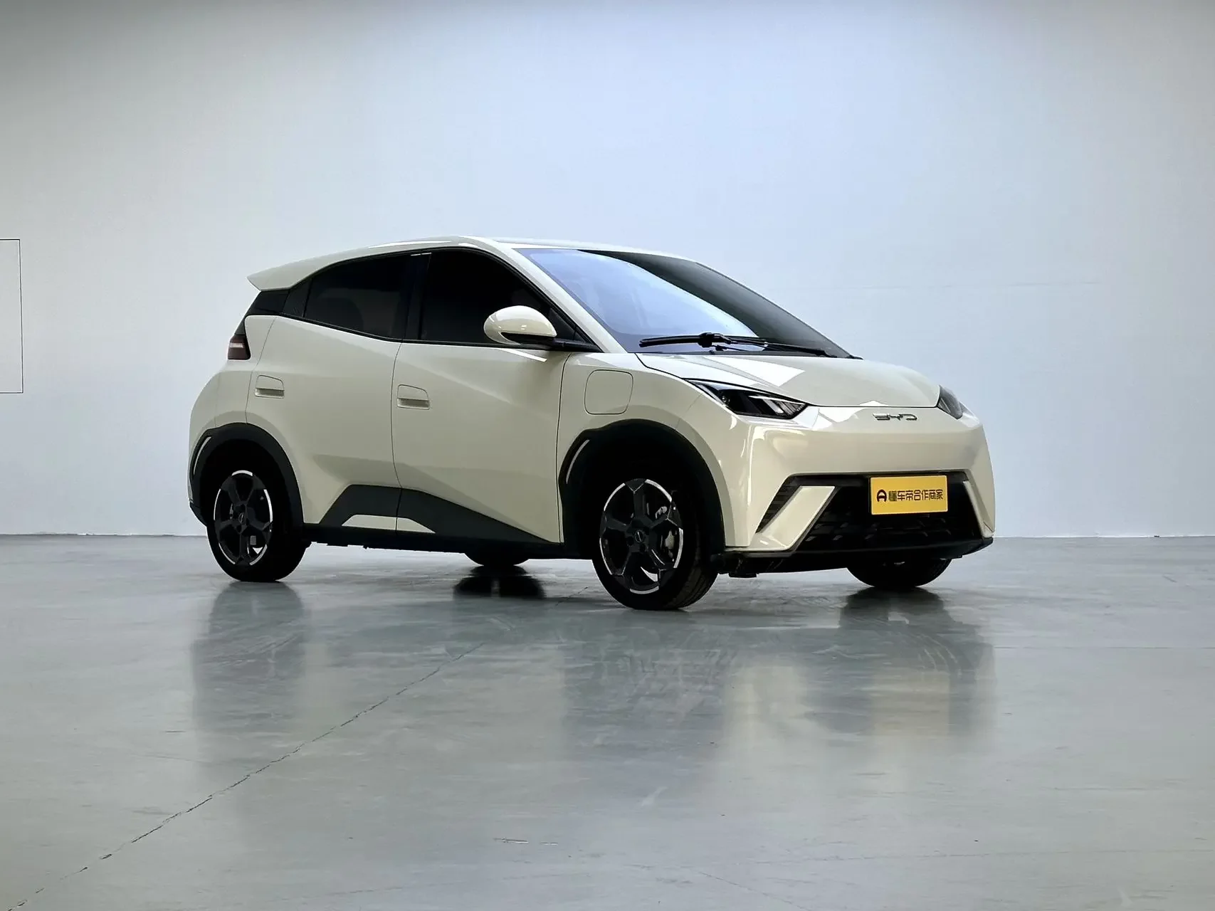 BYD seagull