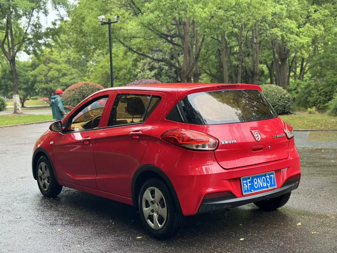 Baojun 310