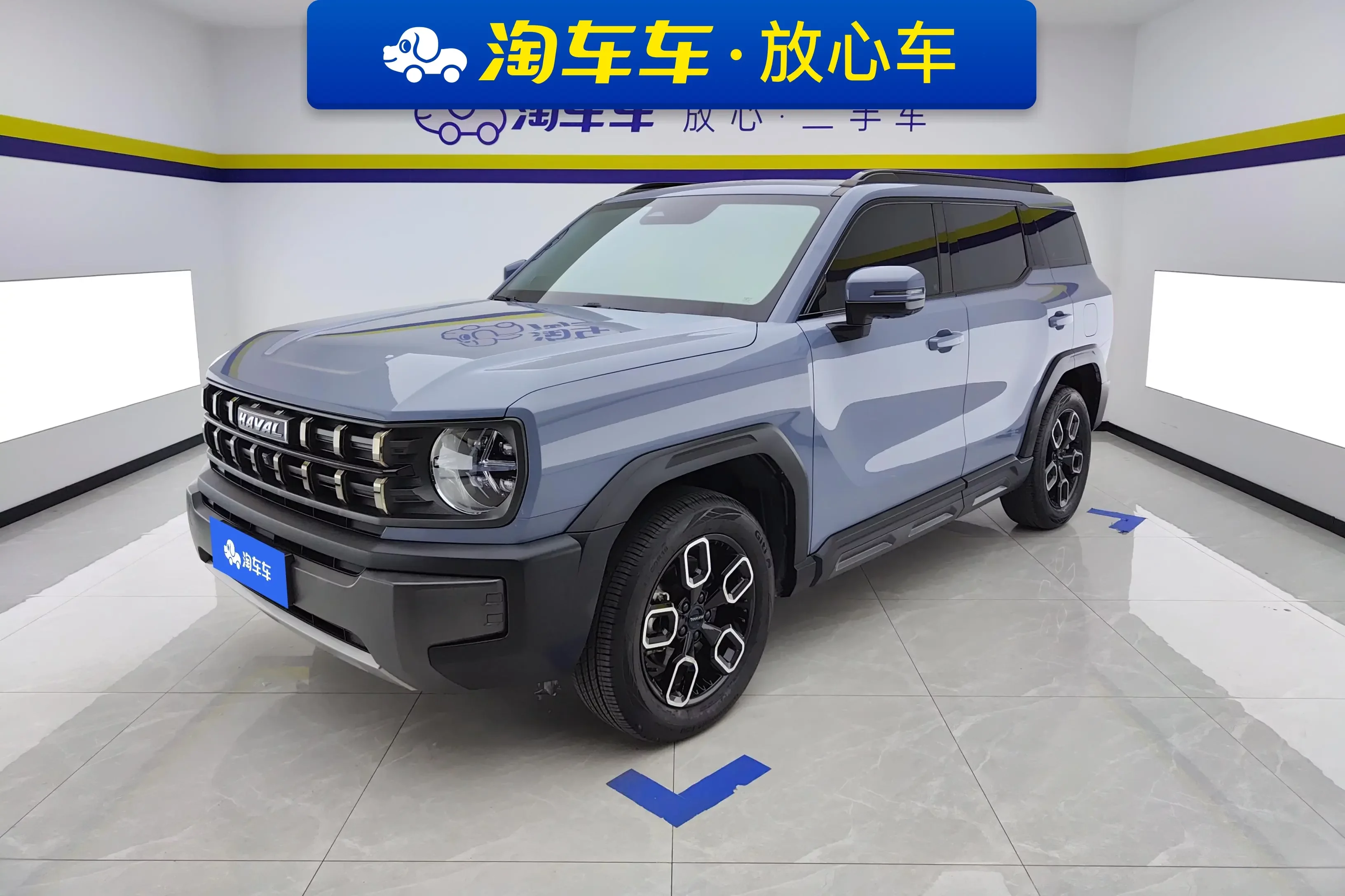 Haval cool dog