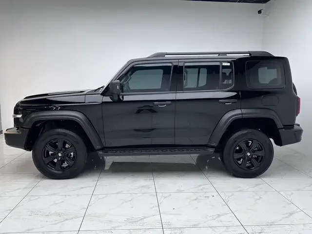 Tank 300