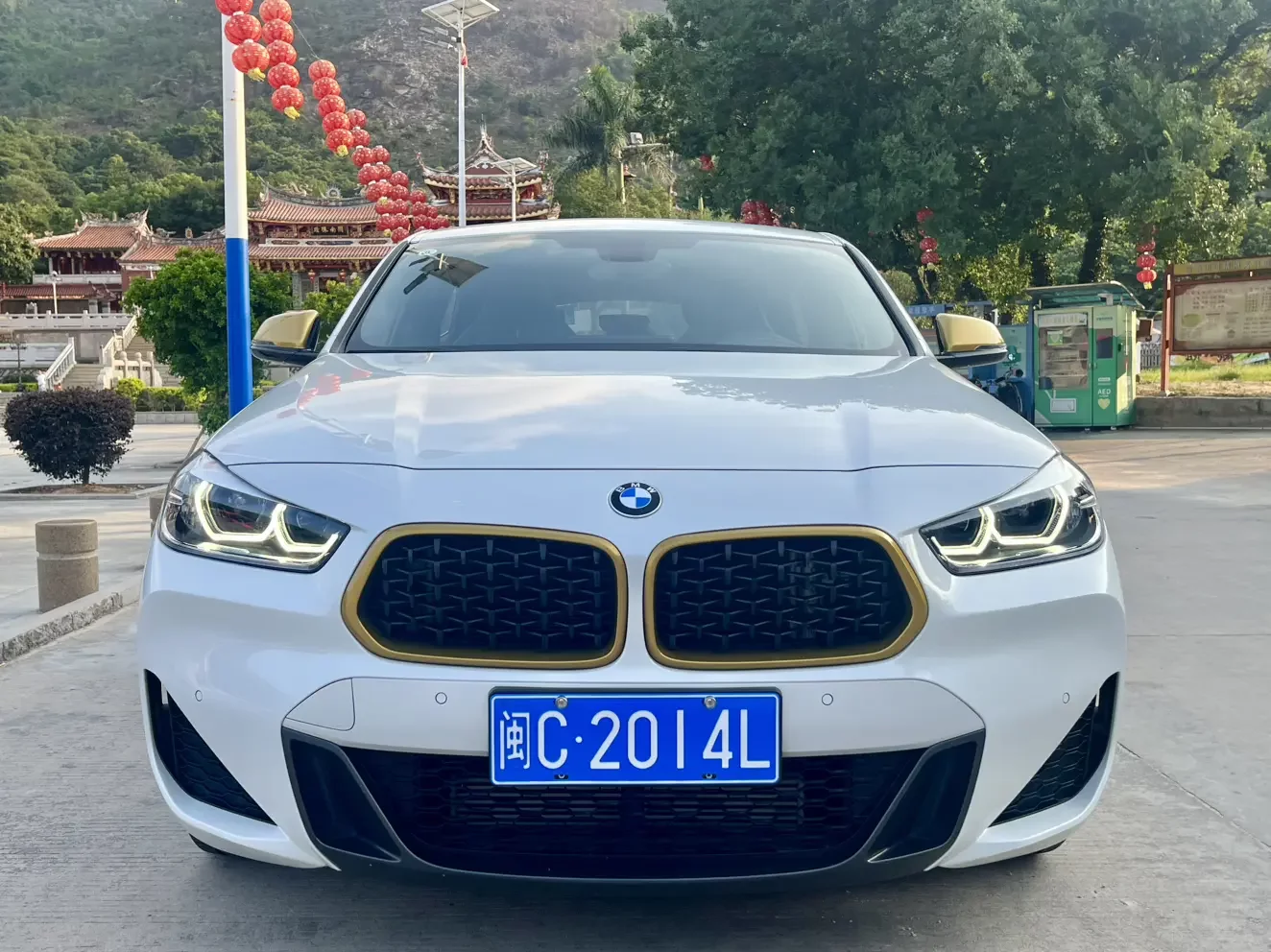 BMW X2