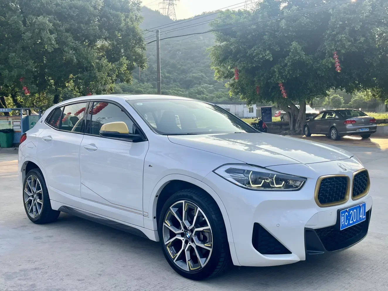 BMW X2