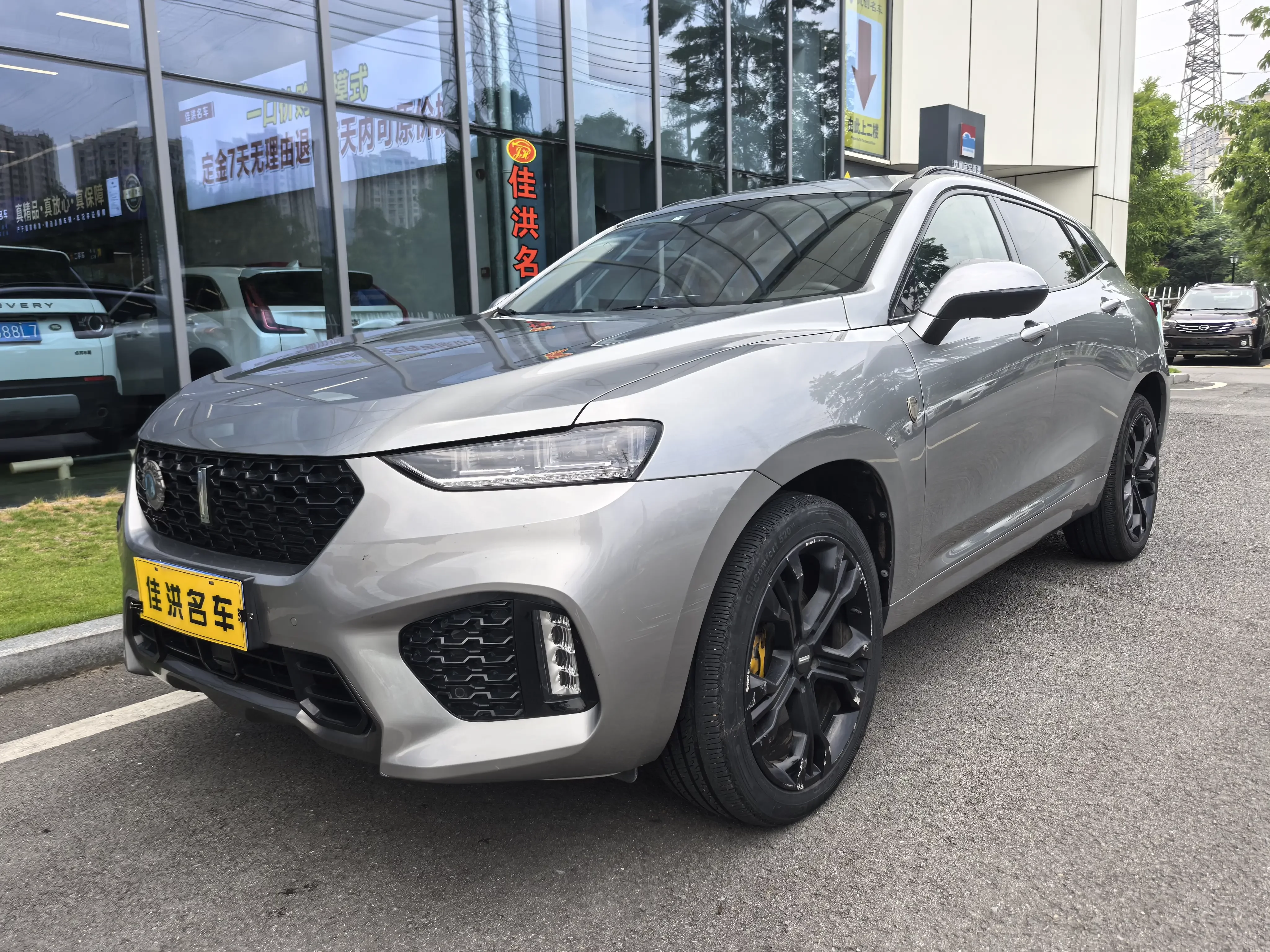 Wey Wei brand VV7