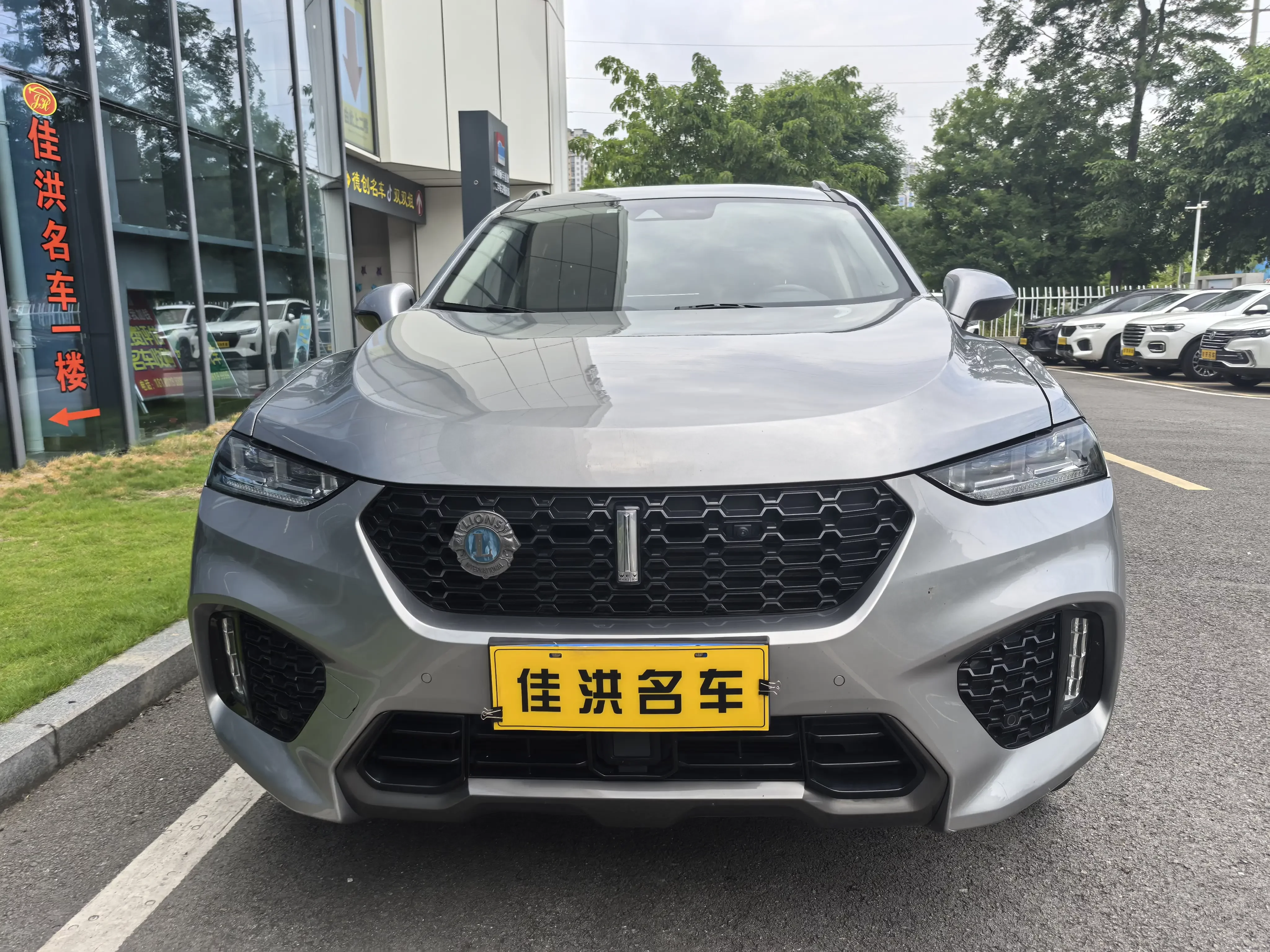 Wey Wei brand VV7