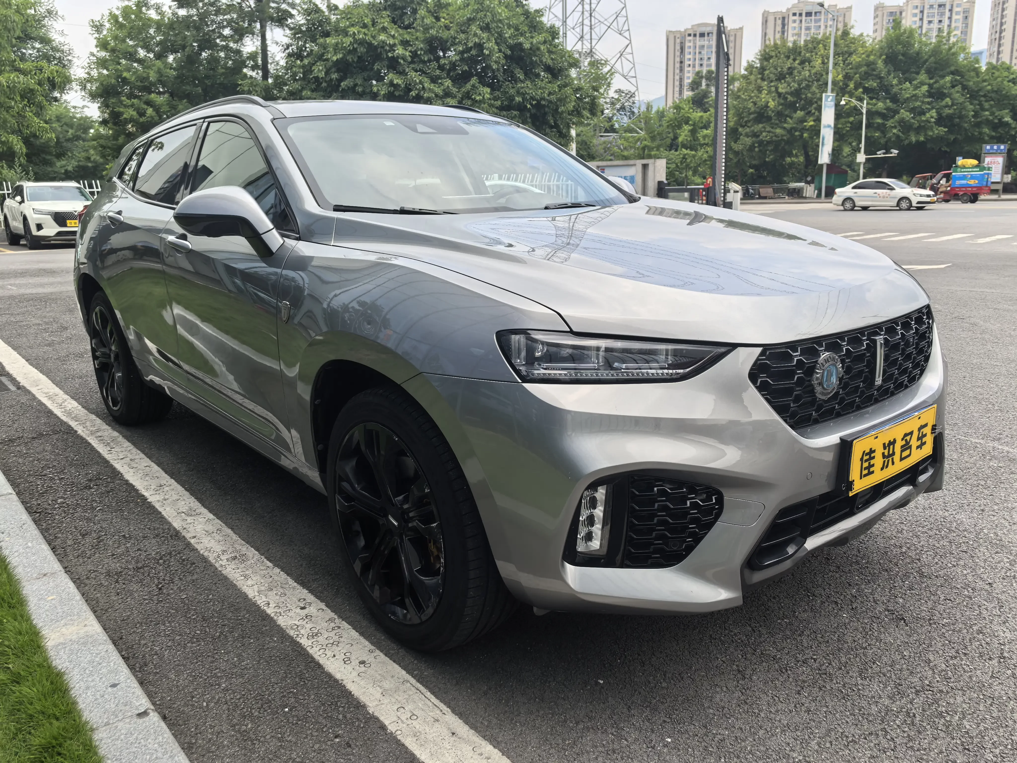 Wey Wei brand VV7