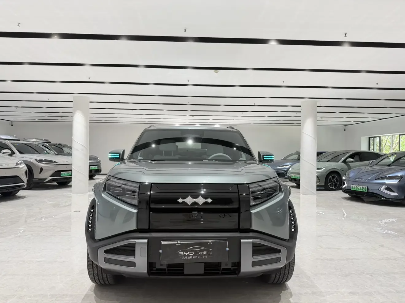 BYD Leopard Titanium 3