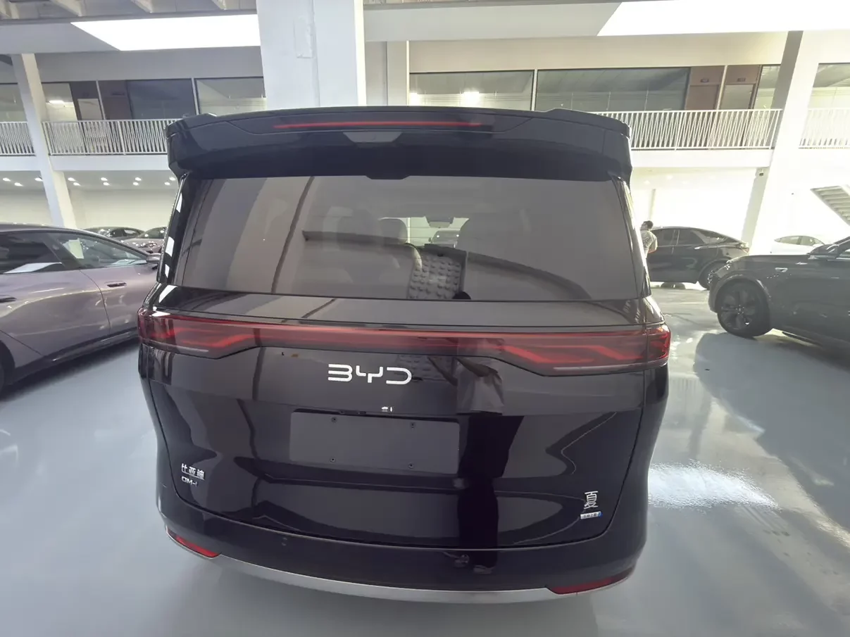 BYD summer
