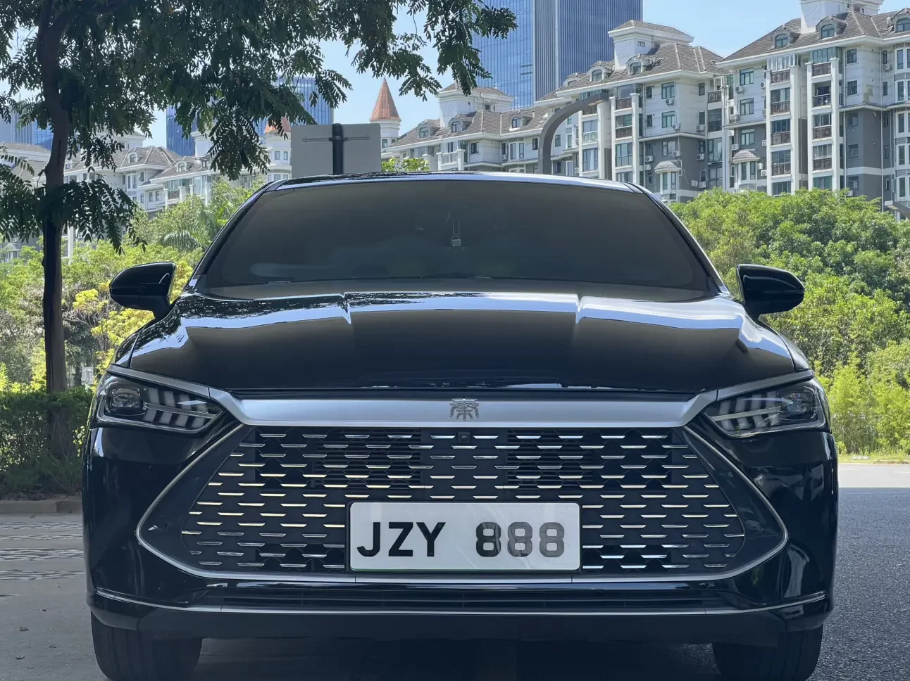 BYD Qin PLUS DM