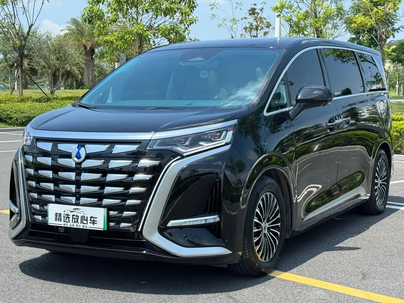 Denza D9 DM