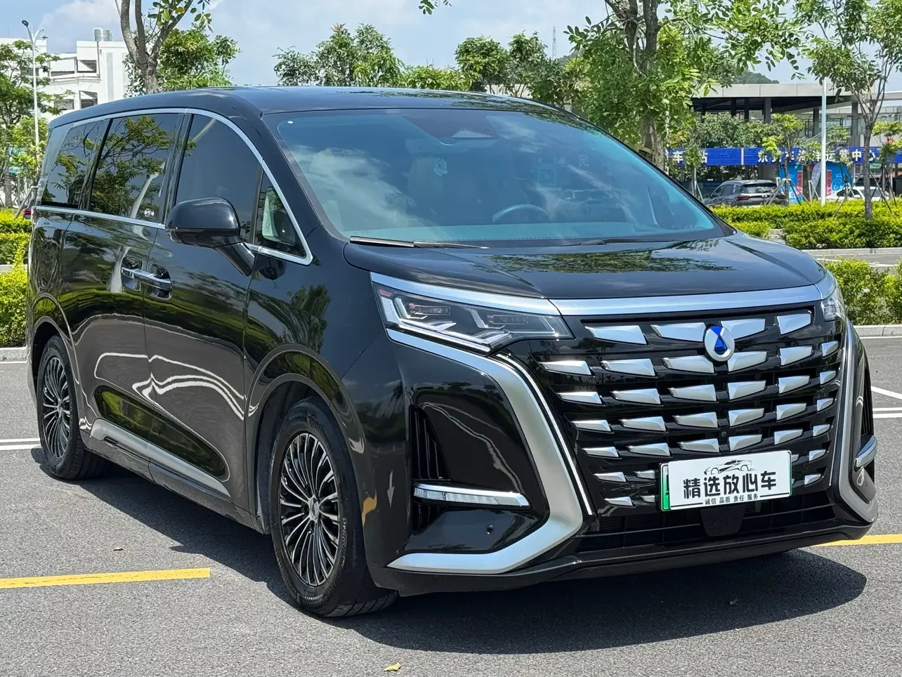 Denza D9 DM