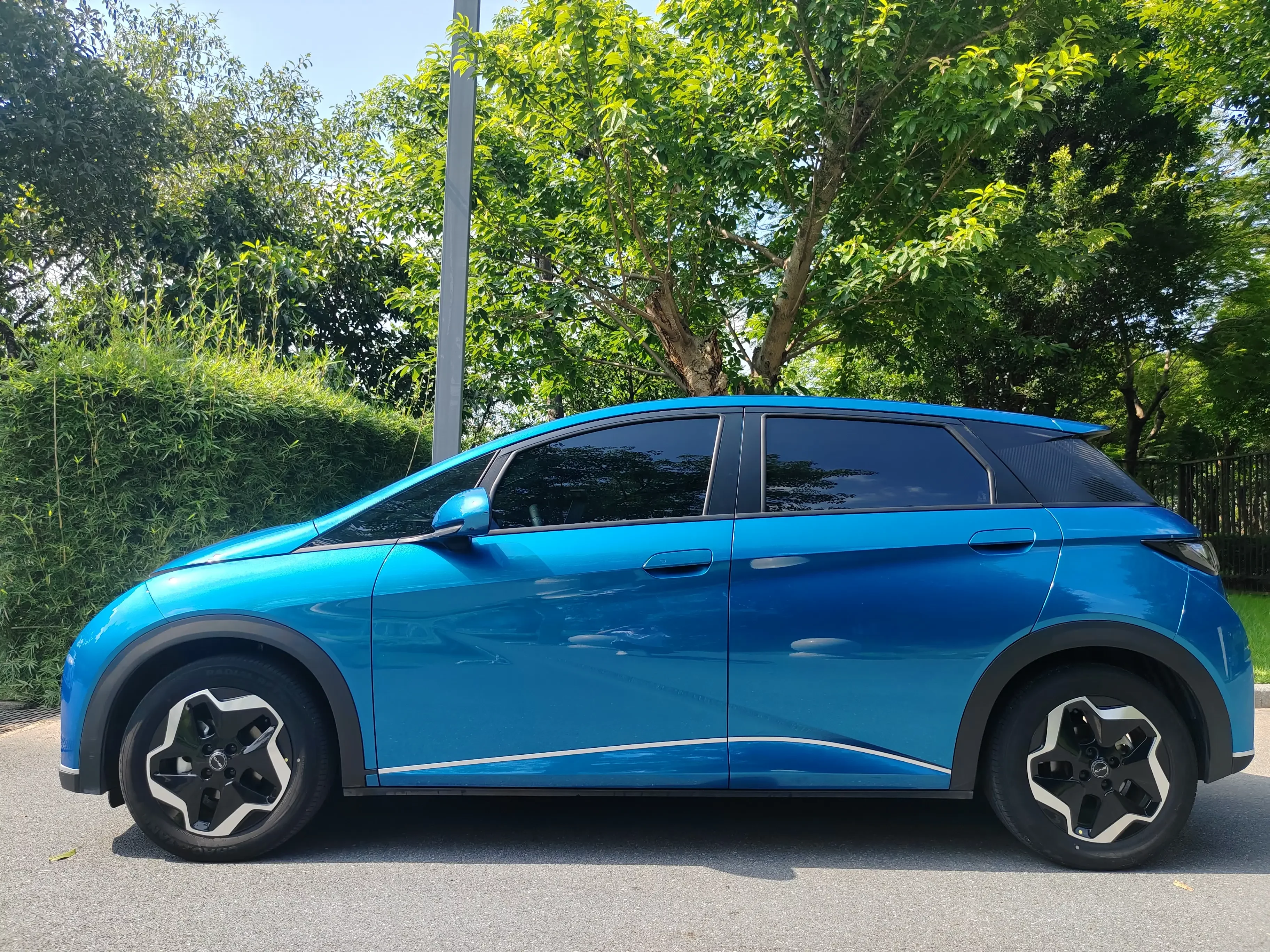 BYD dolphin
