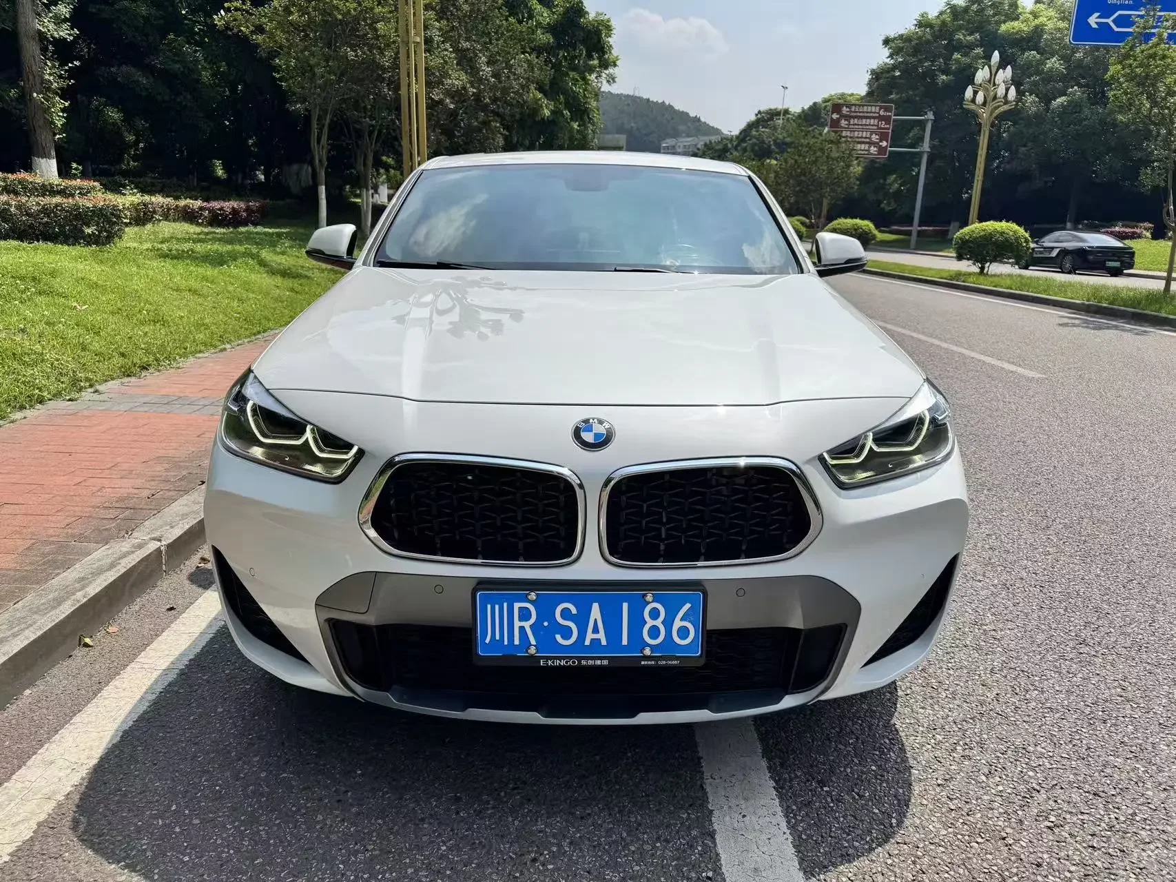 BMW X2