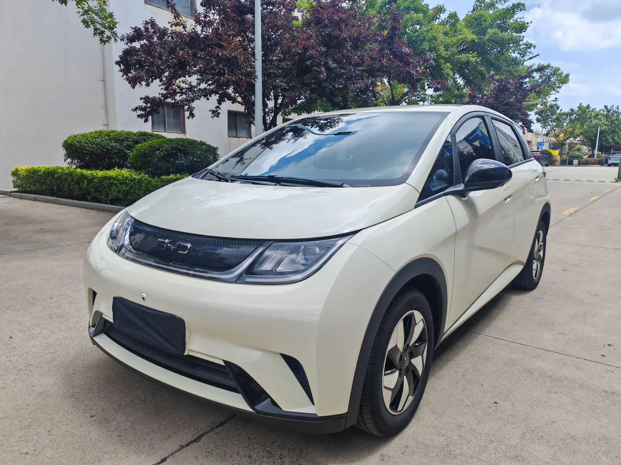 BYD dolphin