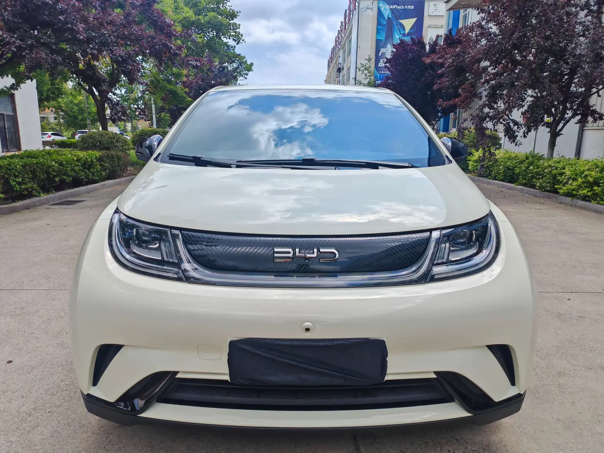 BYD dolphin