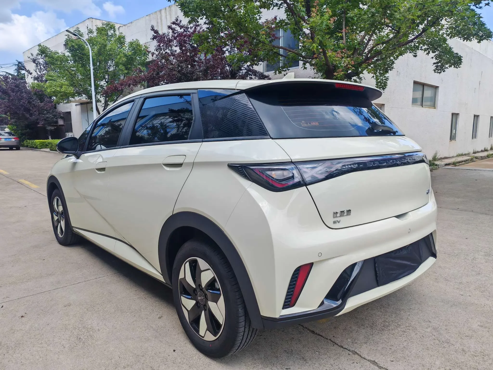 BYD dolphin