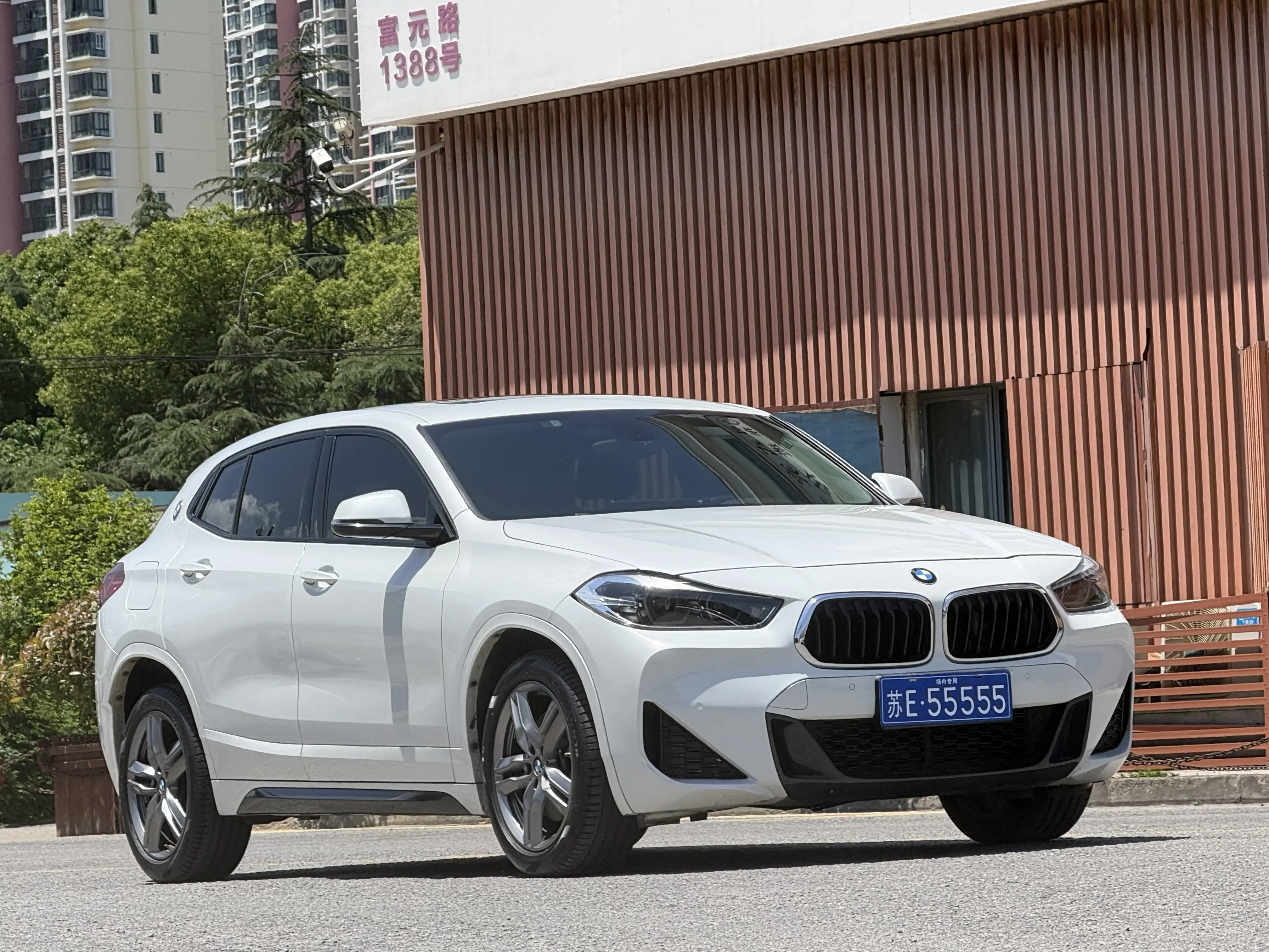 BMW X2